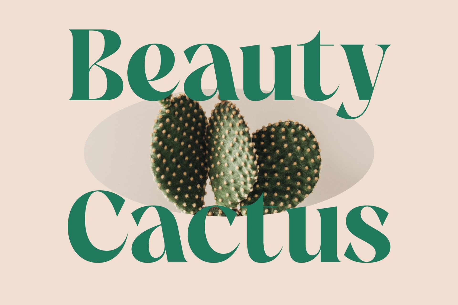 Preview 12 for The Bencoy - Modern Serif Font