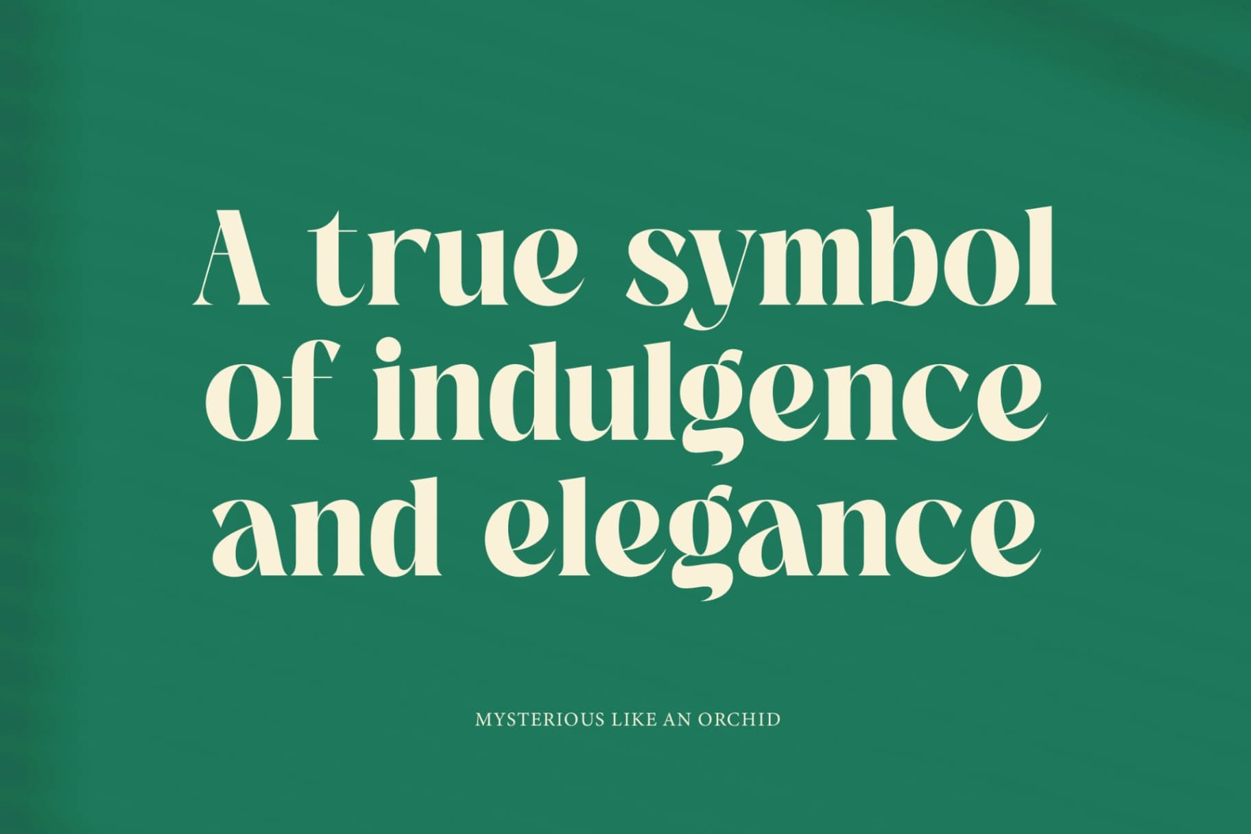 Preview 5 for The Bencoy - Modern Serif Font