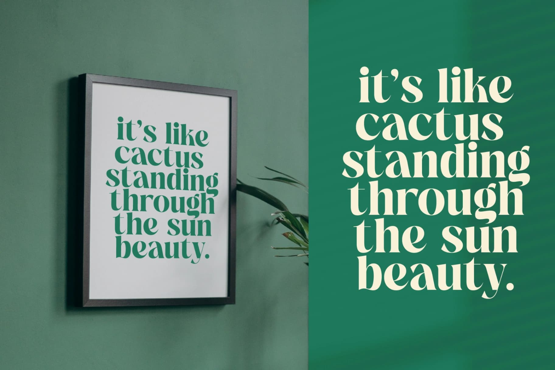 Preview 3 for The Bencoy - Modern Serif Font