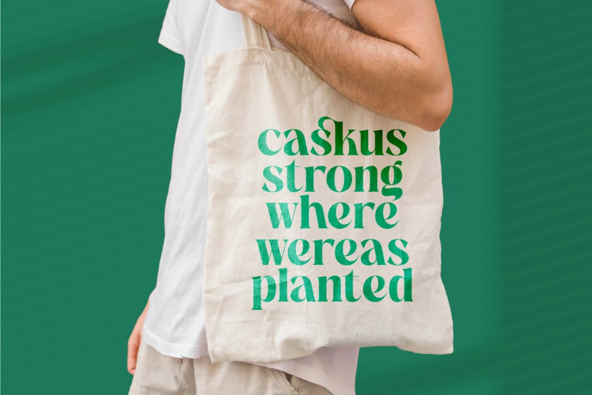 The Bencoy - Modern Serif Font font preview 7
