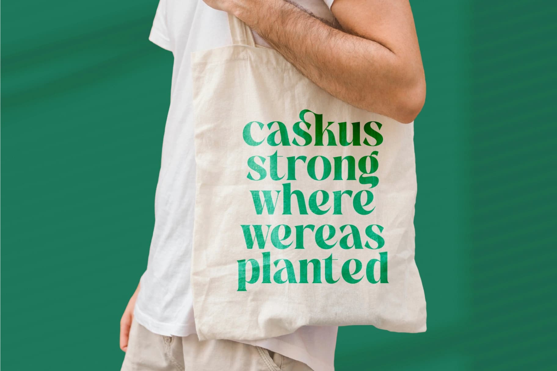 Preview 7 for The Bencoy - Modern Serif Font