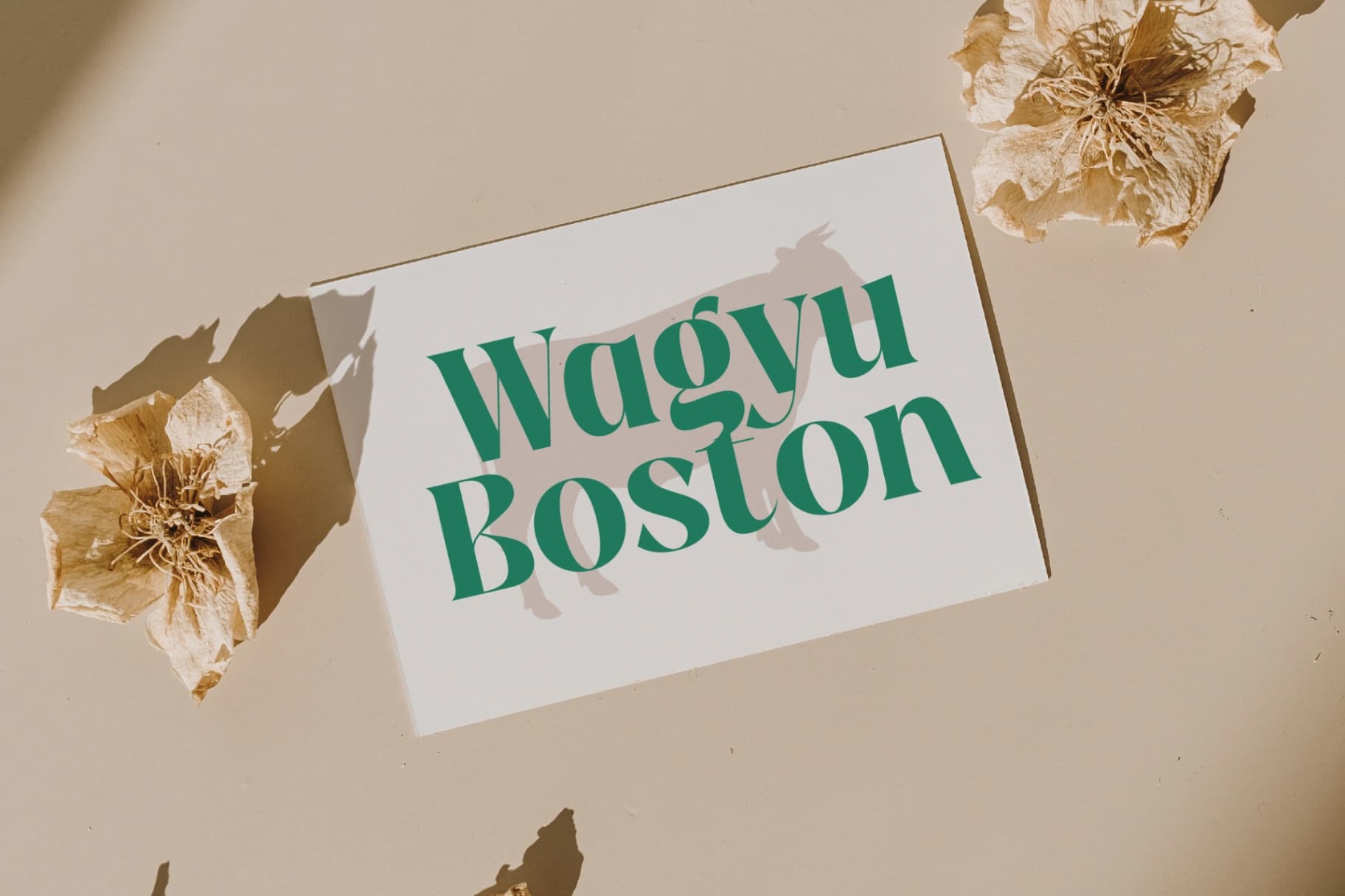 Preview 6 for The Bencoy - Modern Serif Font