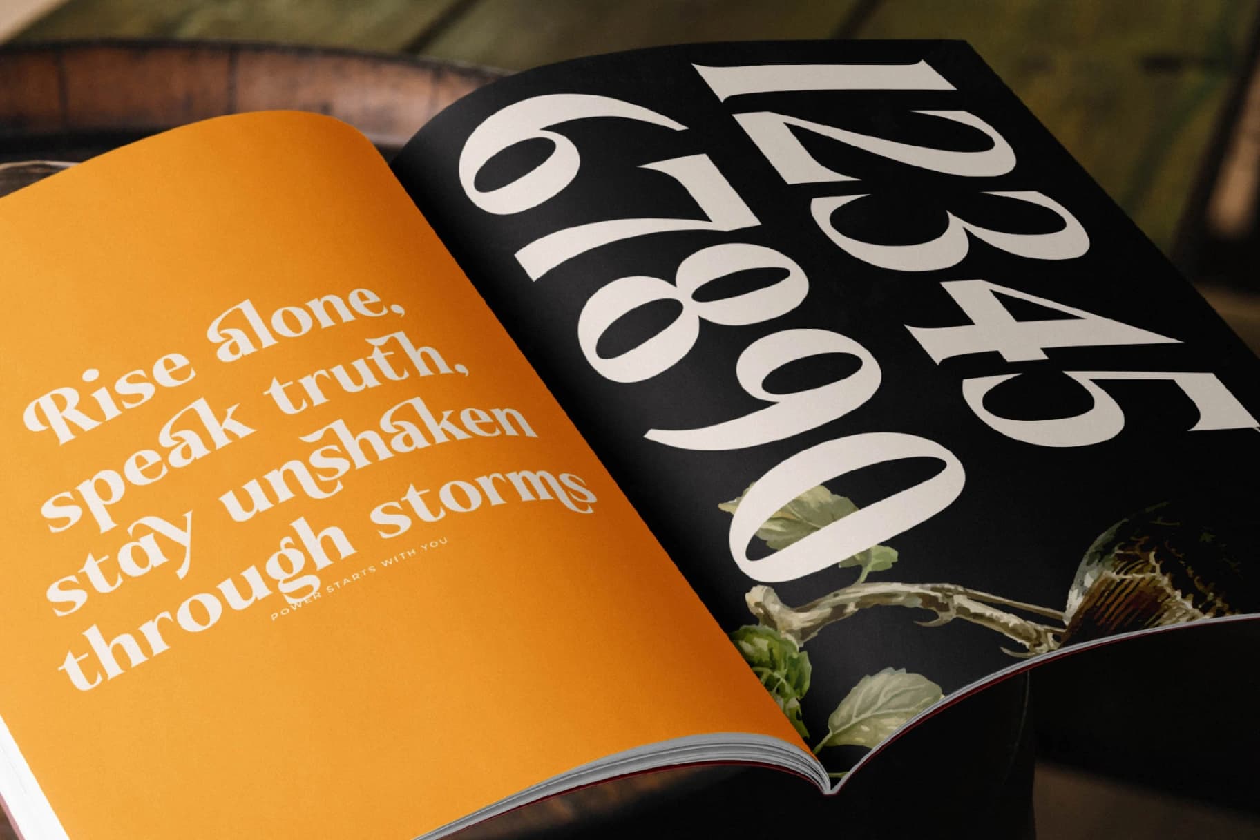 Preview 2 for Belasfa Cantter - Modern Serif Font