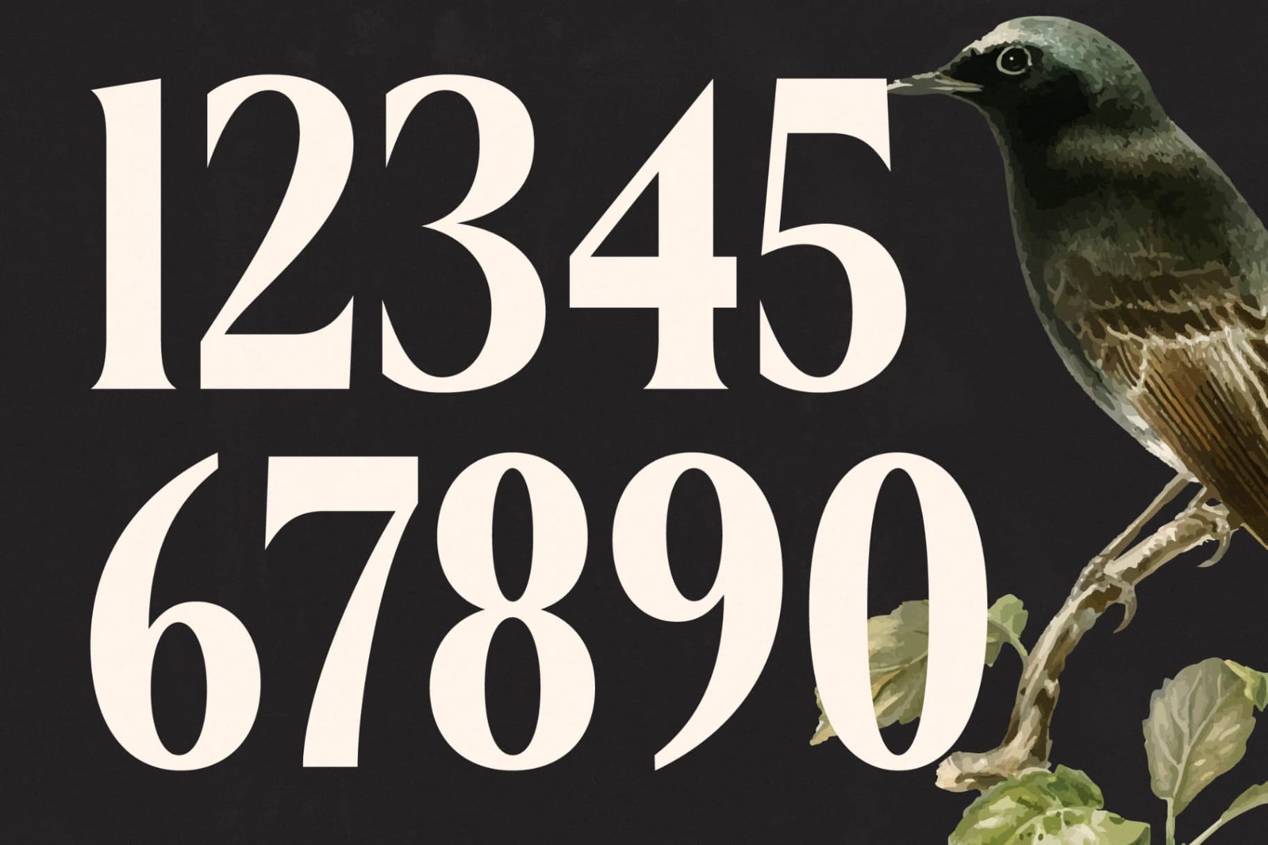 Preview 14 for Belasfa Cantter - Modern Serif Font