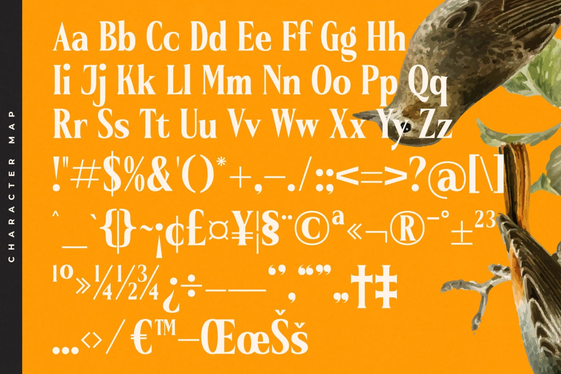Preview 19 for Belasfa Cantter - Modern Serif Font