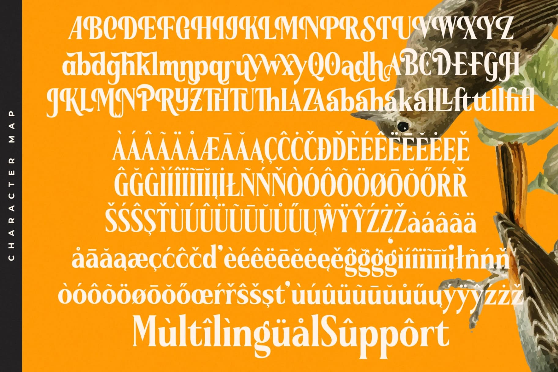 Preview 18 for Belasfa Cantter - Modern Serif Font