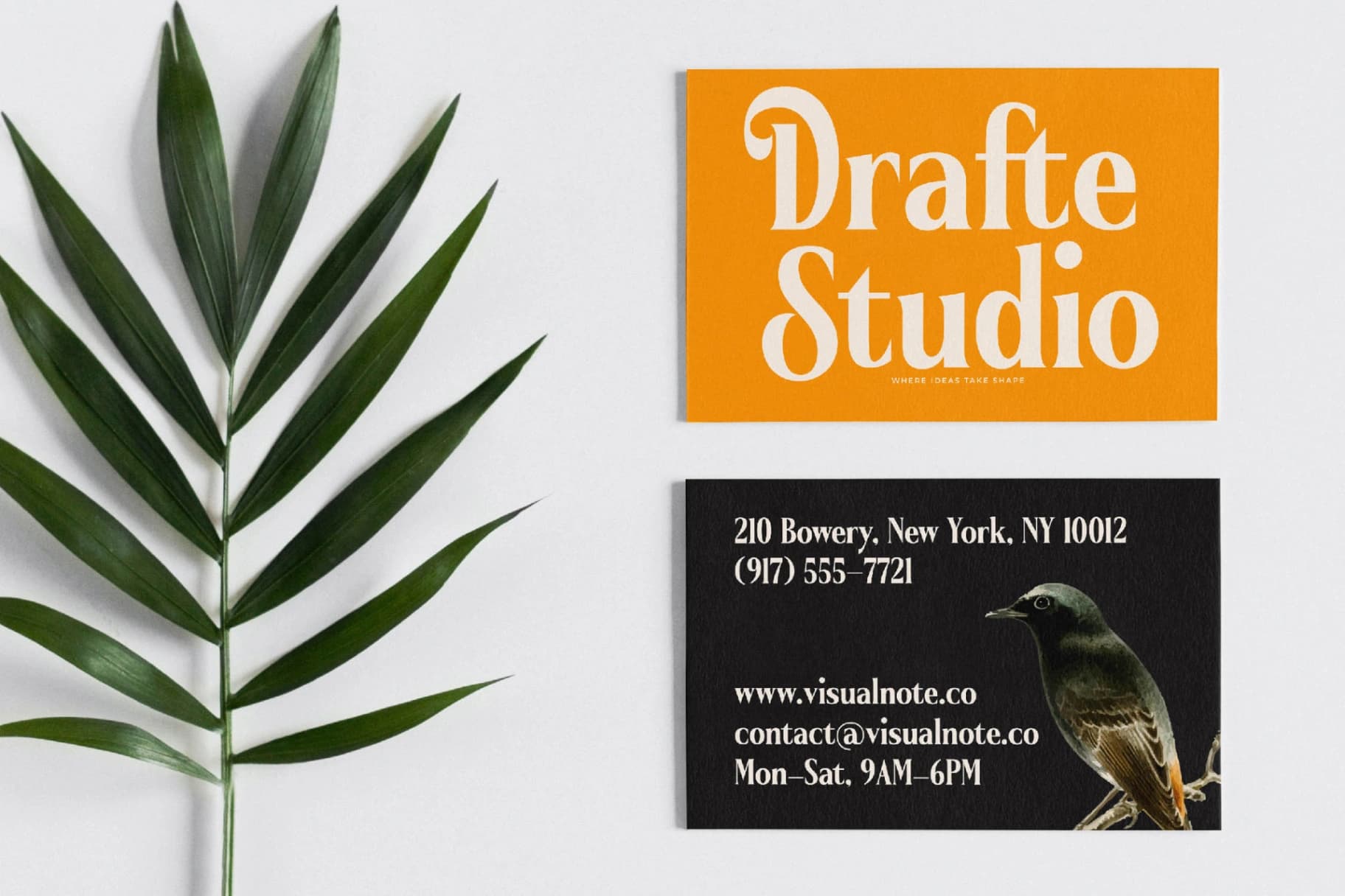 Preview 12 for Belasfa Cantter - Modern Serif Font