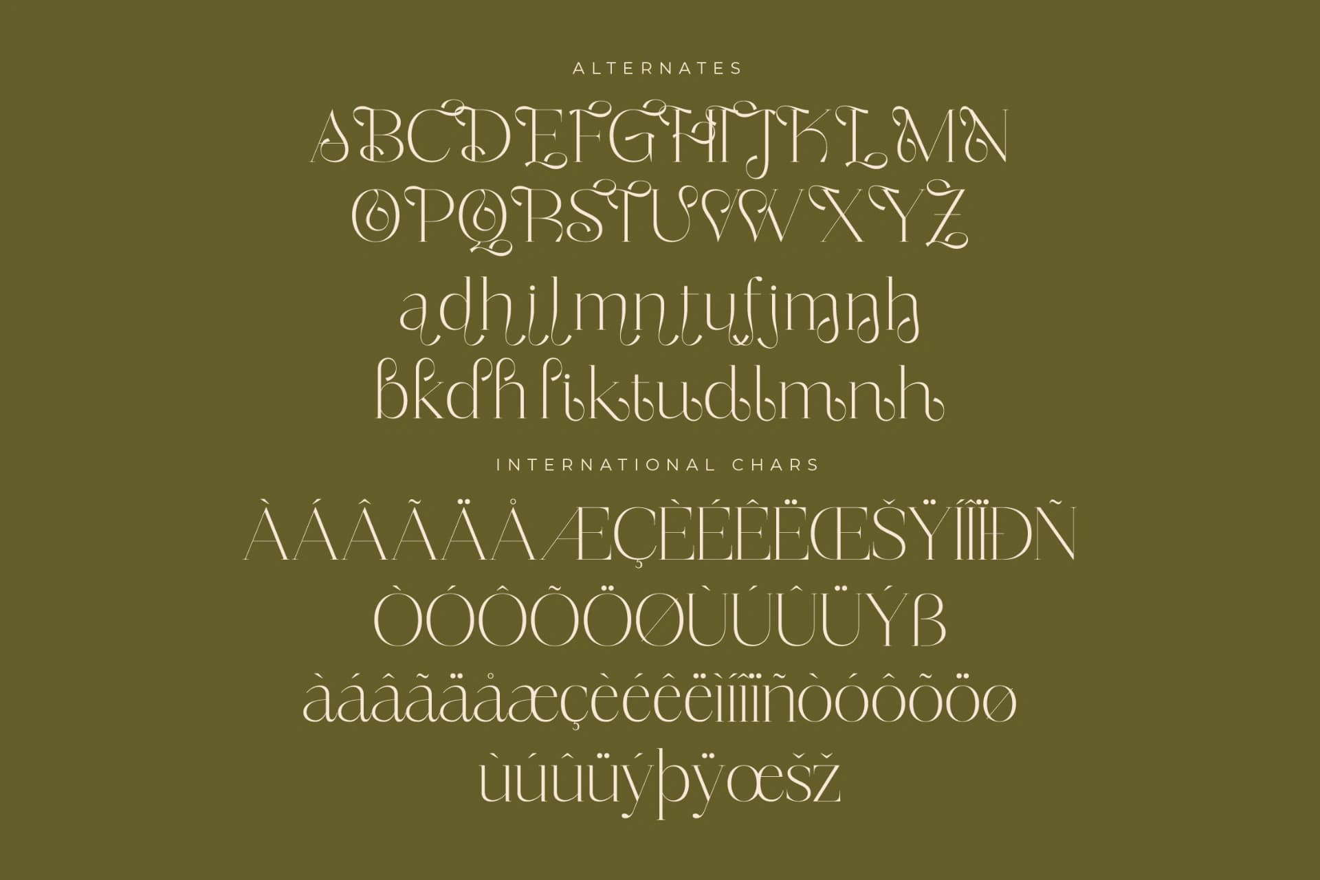 Preview 14 for Mosbian – Modern Serif Font