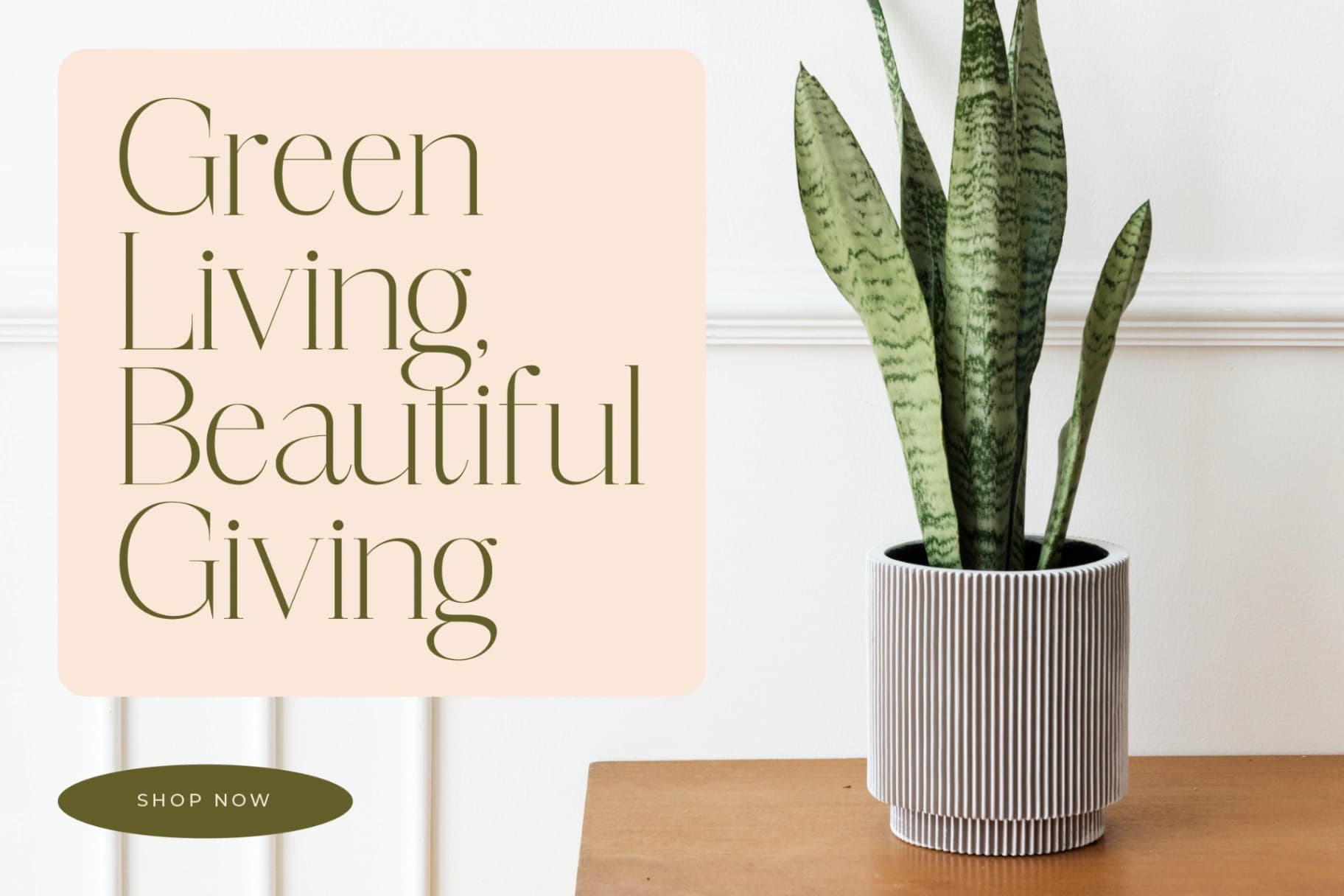 Preview 7 for Mosbian – Modern Serif Font