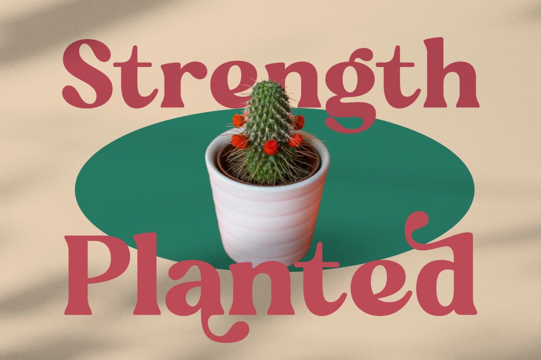 Preview 2 for Regina Bonita - Modern Retro Serif Font