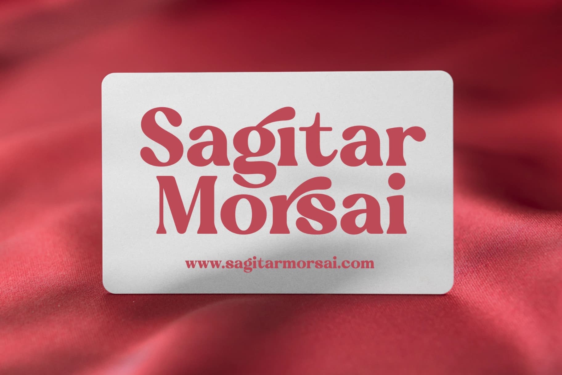 Preview 3 for Regina Bonita - Modern Retro Serif Font