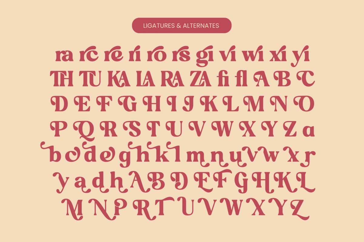 Regina Bonita - Modern Retro Serif Font font preview 18