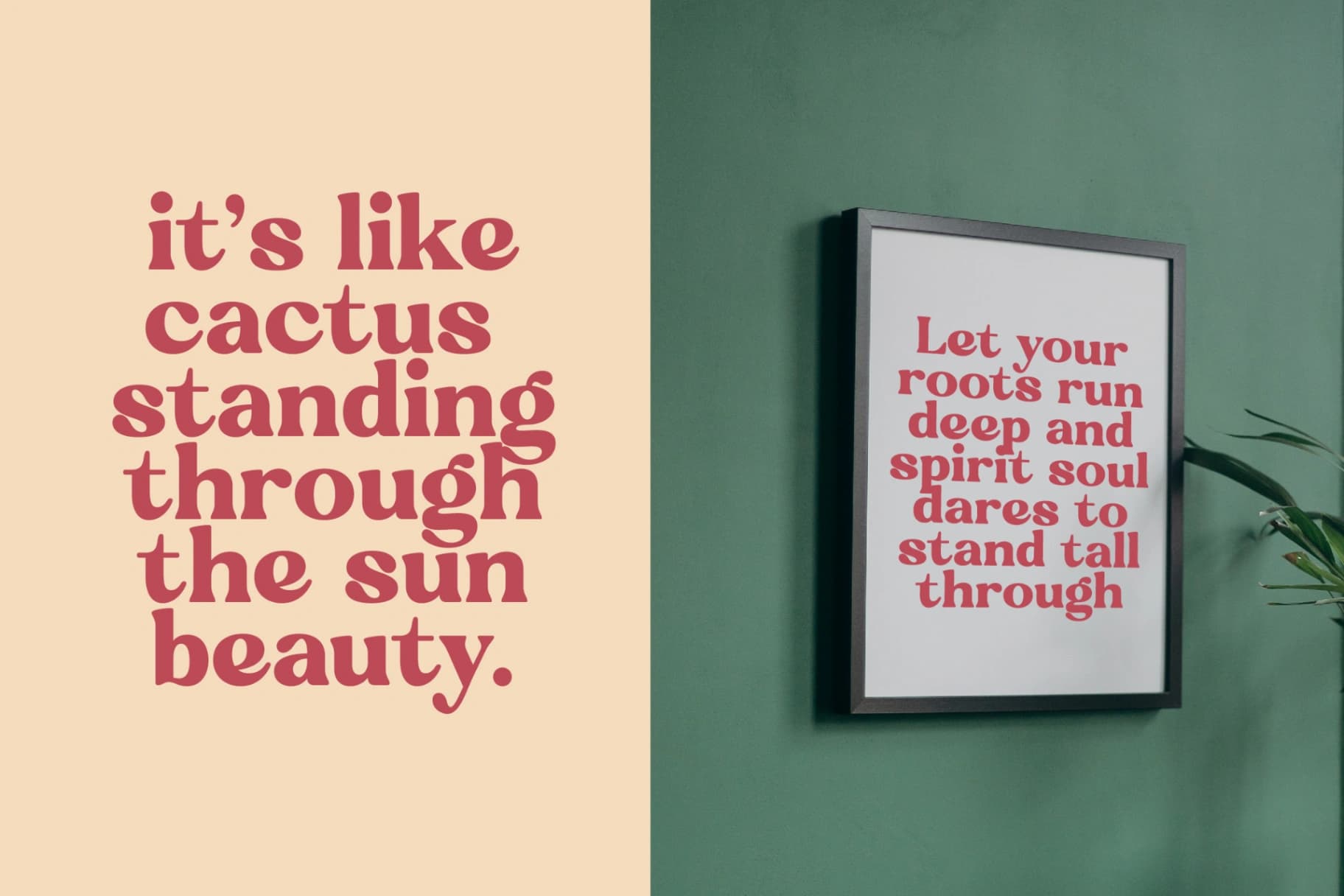 Preview 6 for Regina Bonita - Modern Retro Serif Font