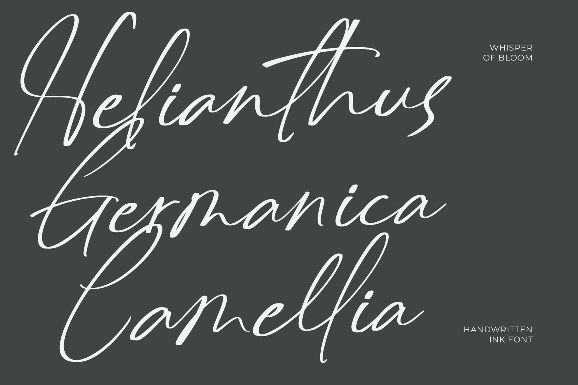 Preview 2 for Delynta Roastiph – Handwritten Ink Font