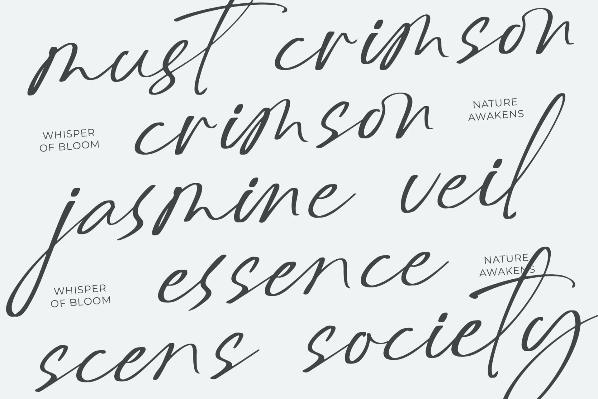 Preview 7 for Delynta Roastiph – Handwritten Ink Font