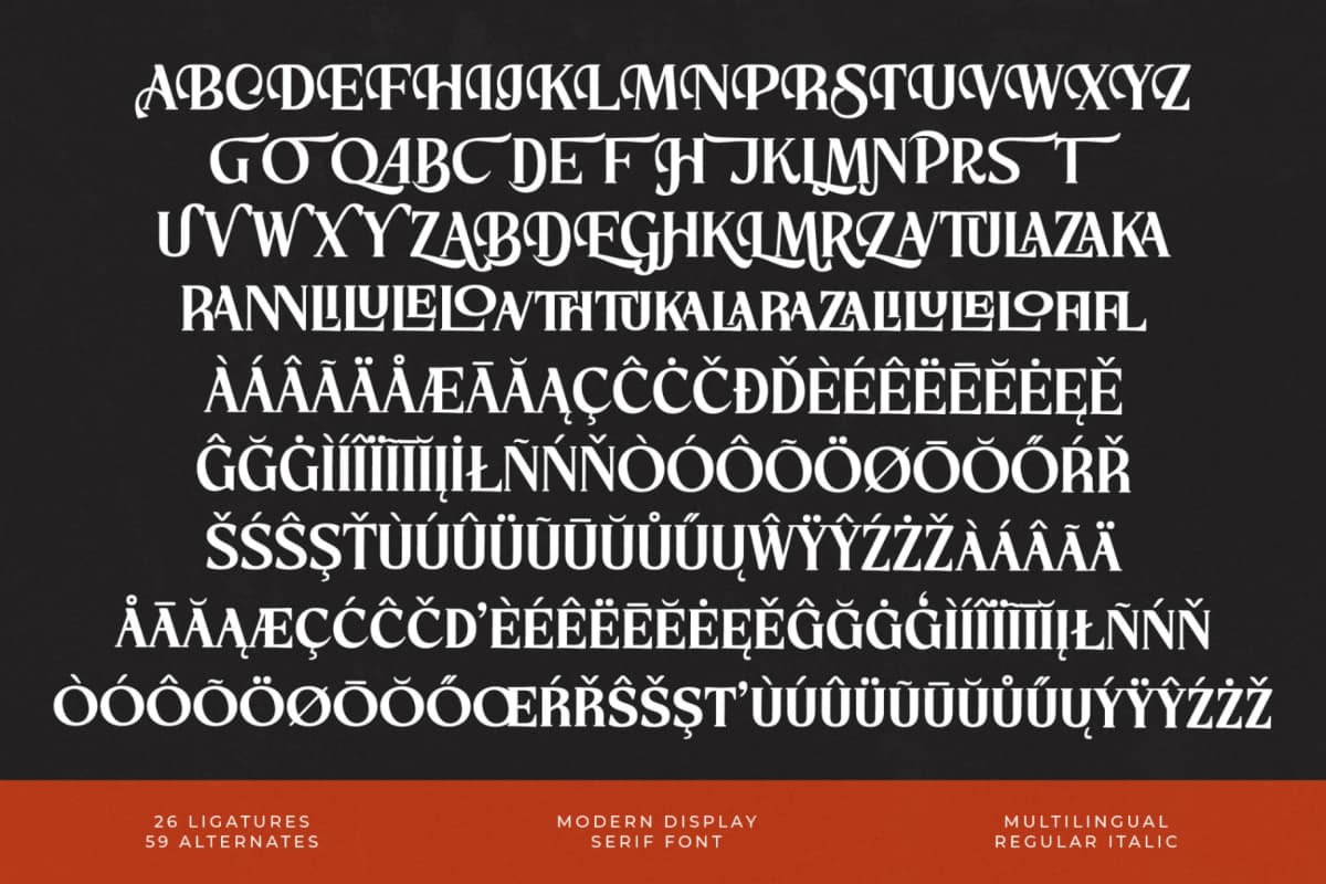 Preview 18 for Storm Blokade - Modern Display Serif Font