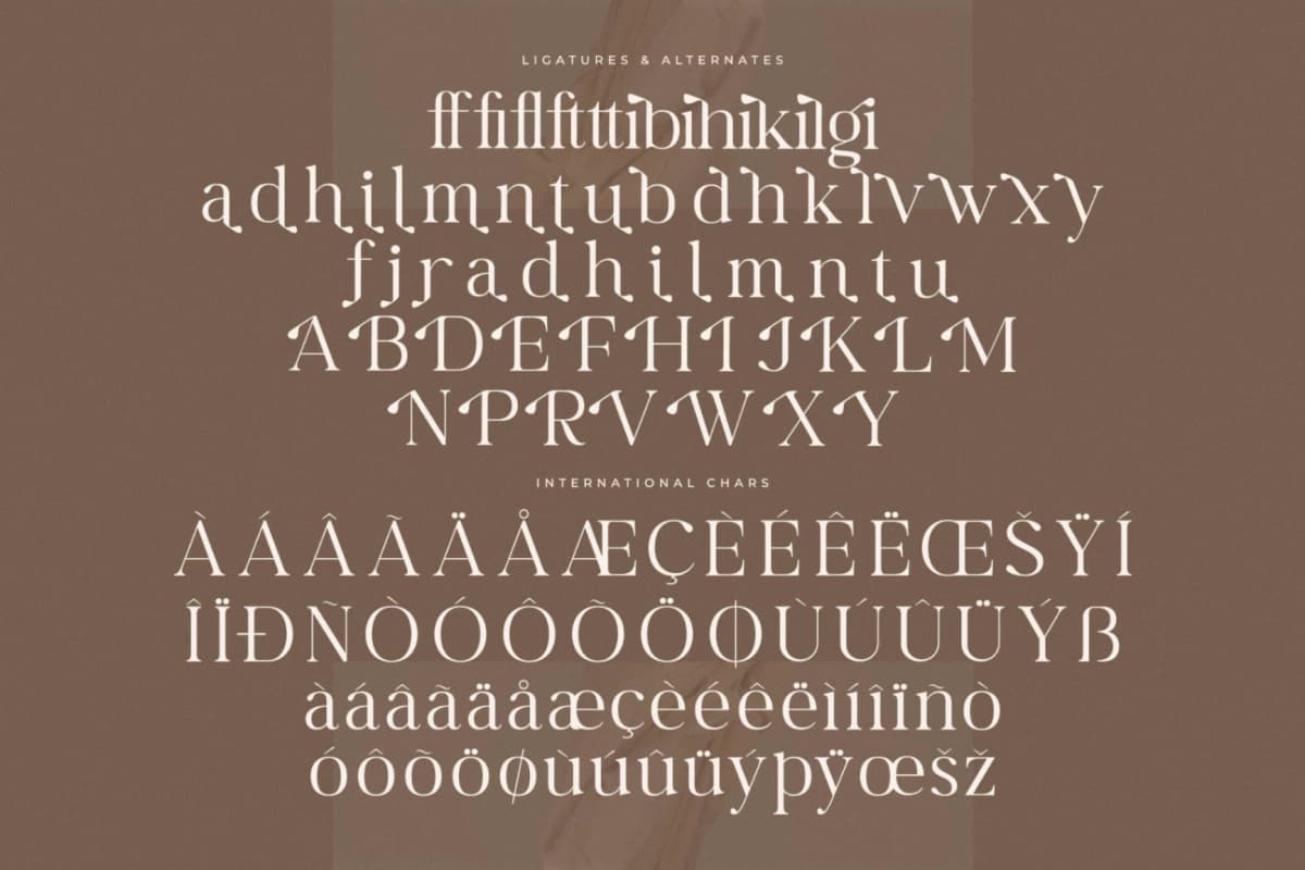 Begifta New Modern Serif Font font preview 14