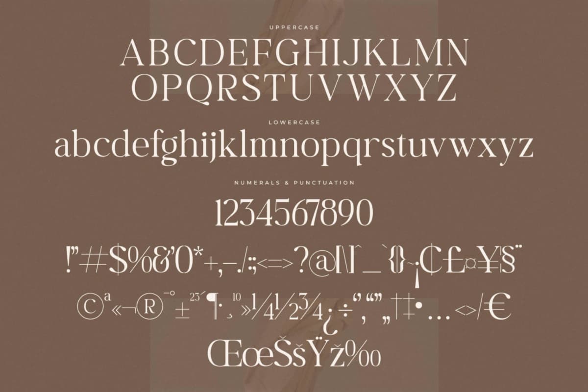 Begifta New Modern Serif Font font preview 13