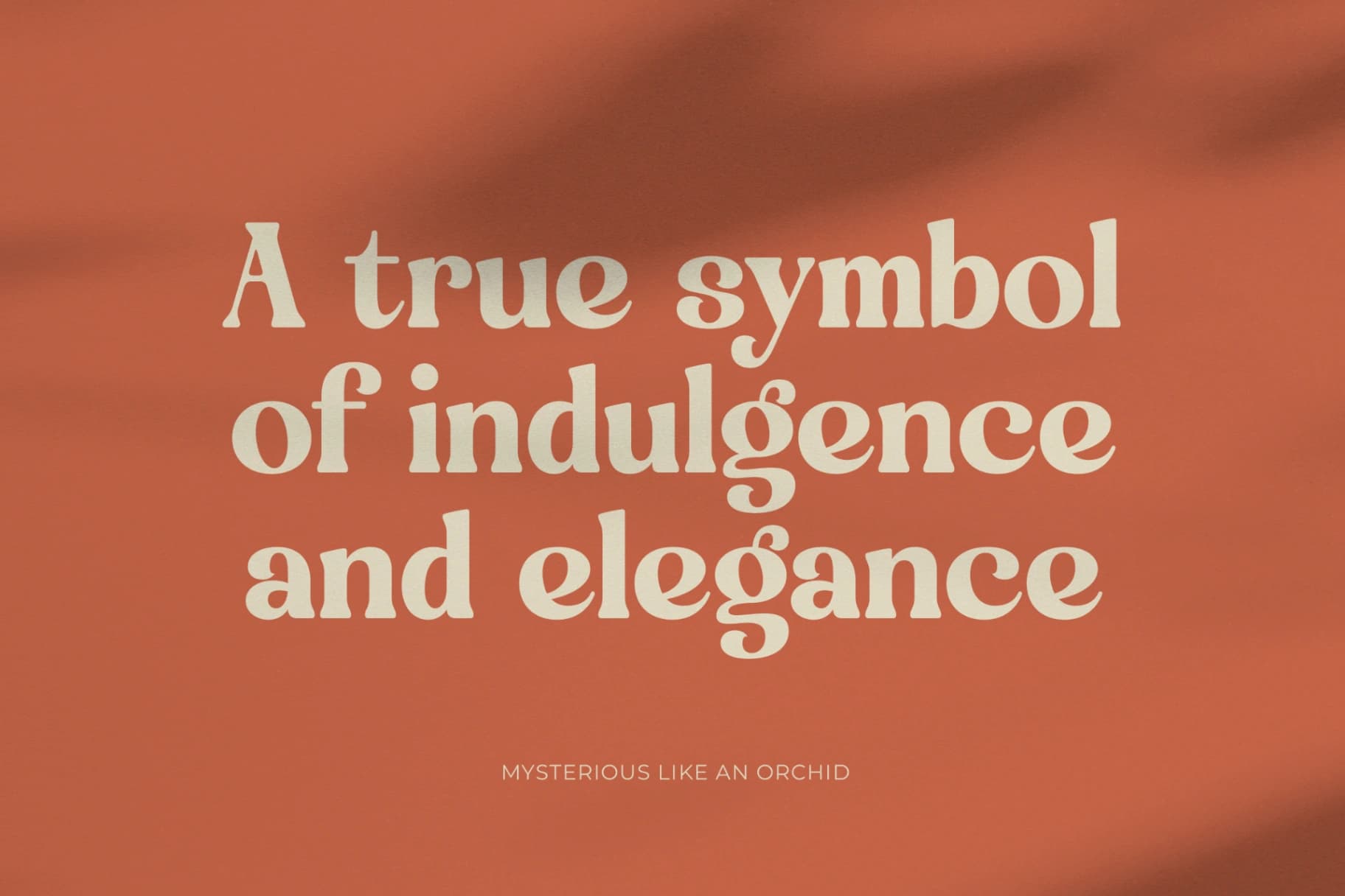 Preview 3 for Engray Danton - Modern Alternate Serif Font