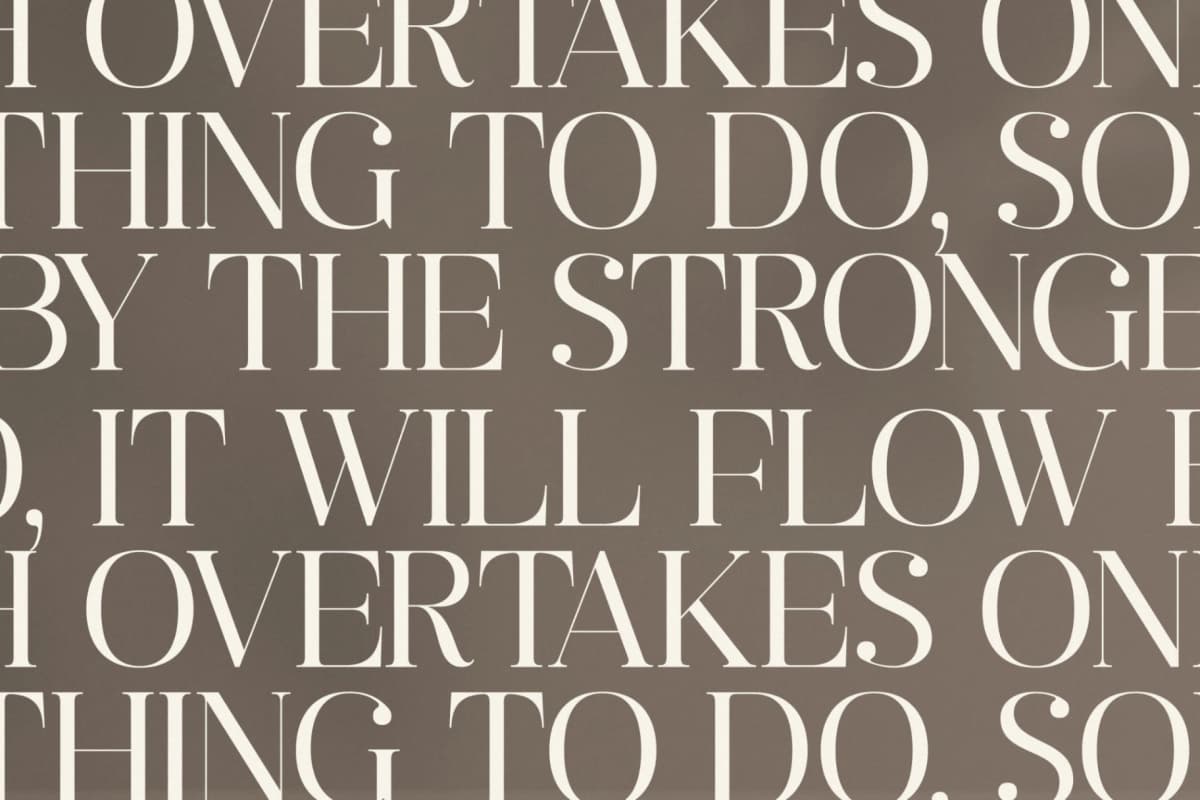 Preview 9 for Ragiften - Modern Serif Font