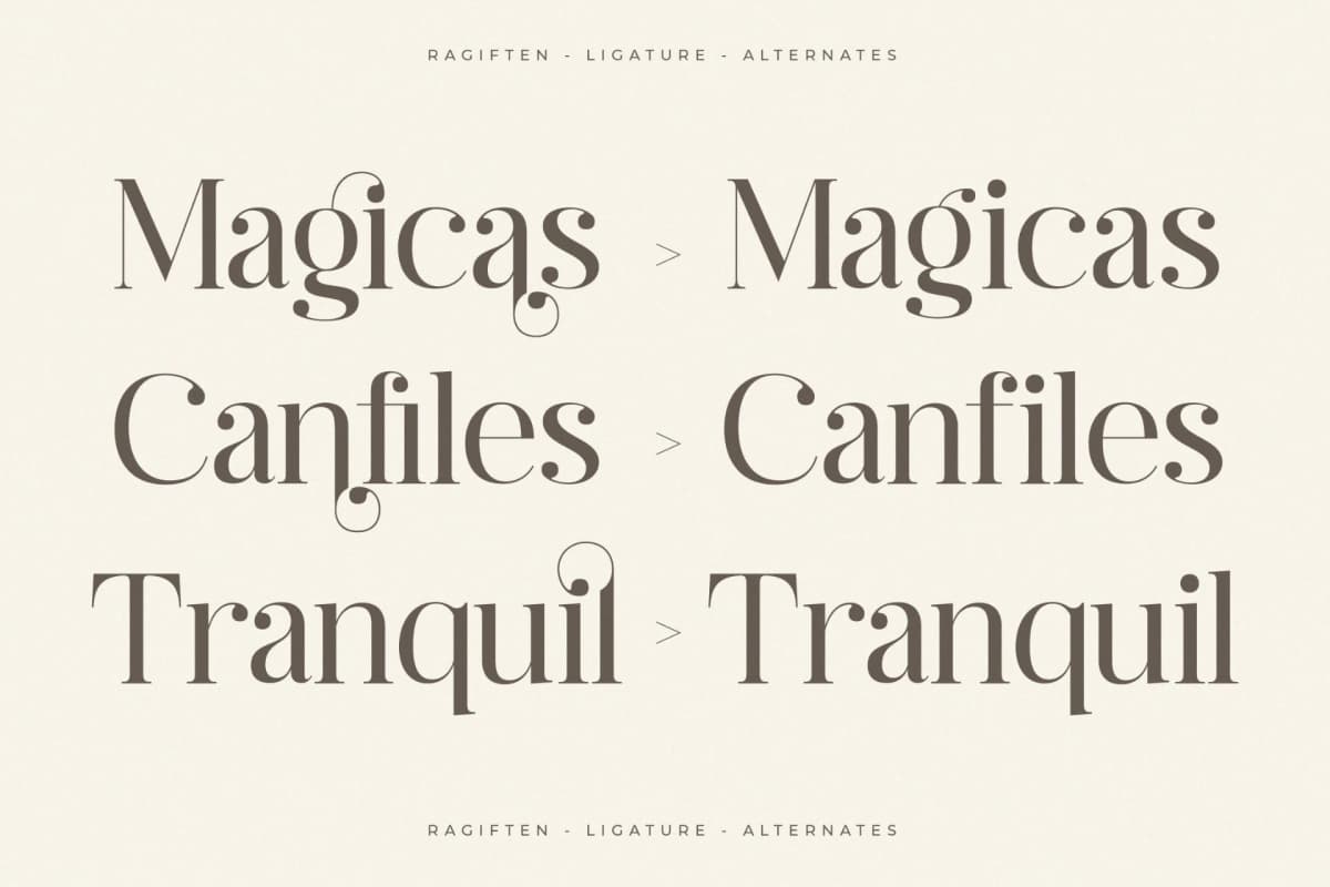 Preview 6 for Ragiften - Modern Serif Font