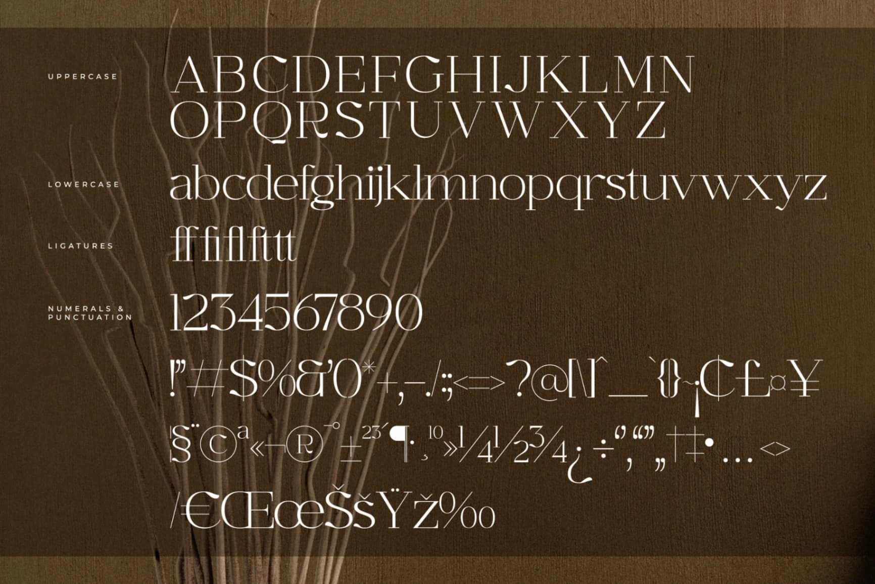 Preview 13 for Graflows – Modern Font Serif
