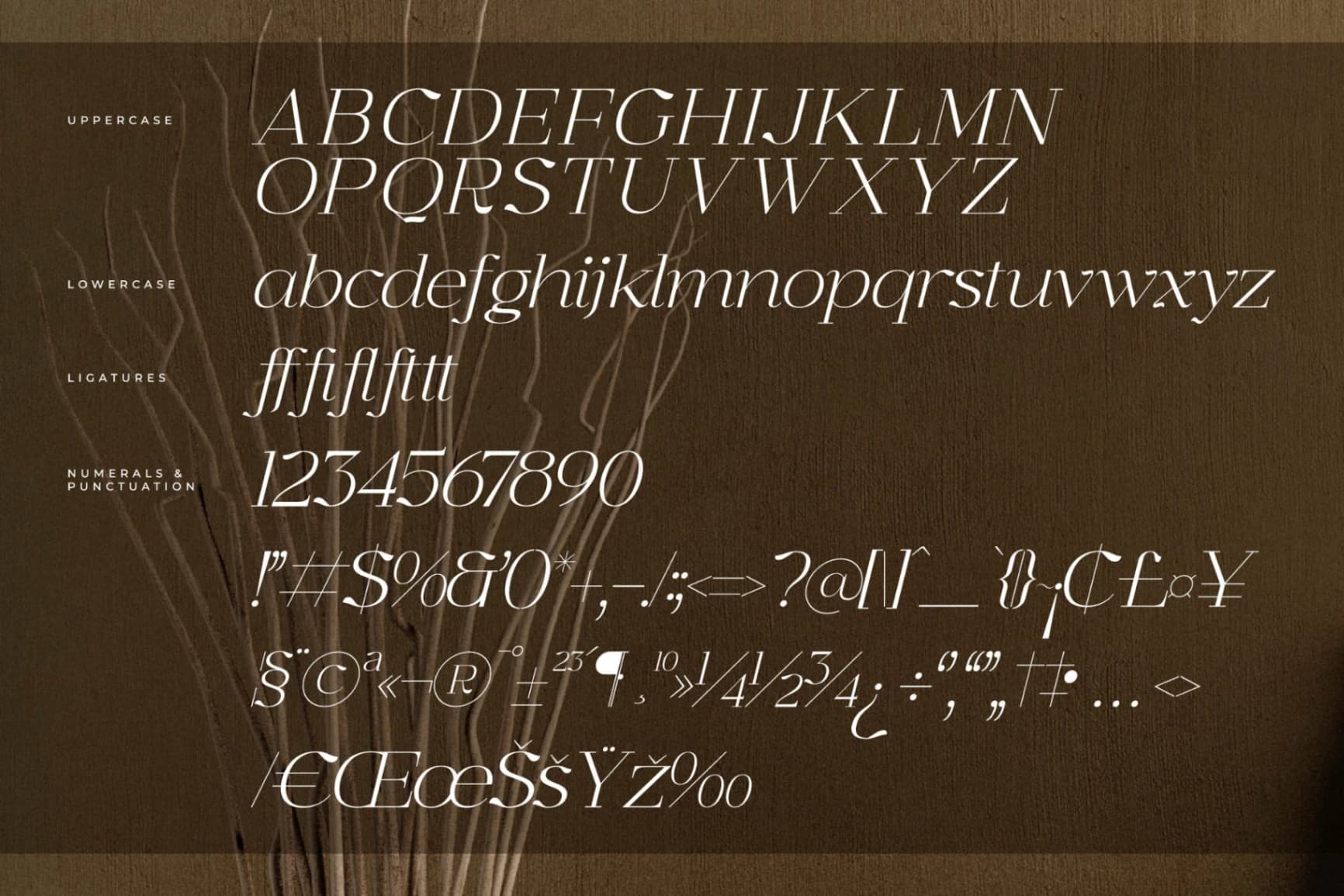Preview 14 for Graflows – Modern Font Serif