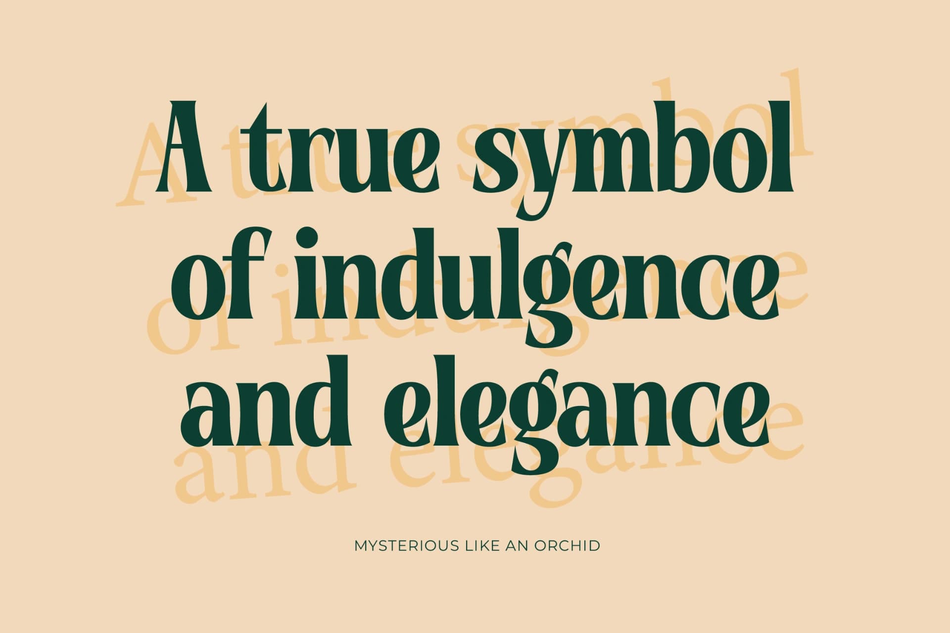 Preview 6 for Vintage Mentor - Modern Bold Font