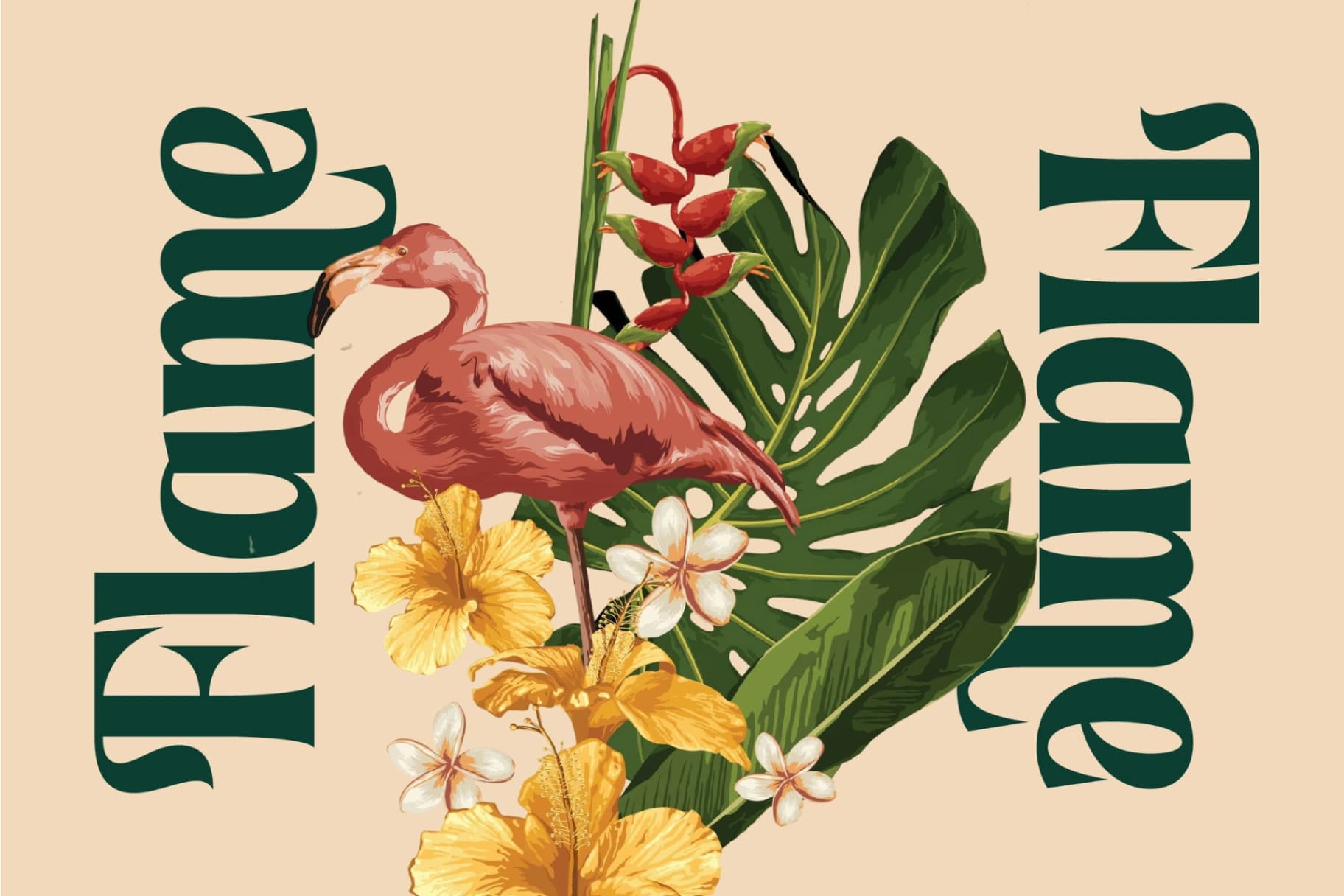 Preview 16 for Vintage Mentor - Modern Bold Font