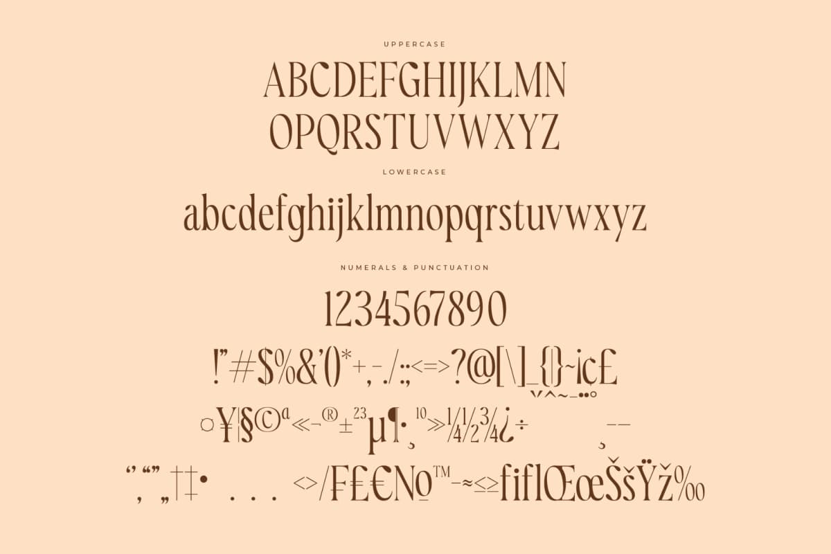 Royaltens – Modern Serif Font font preview 13
