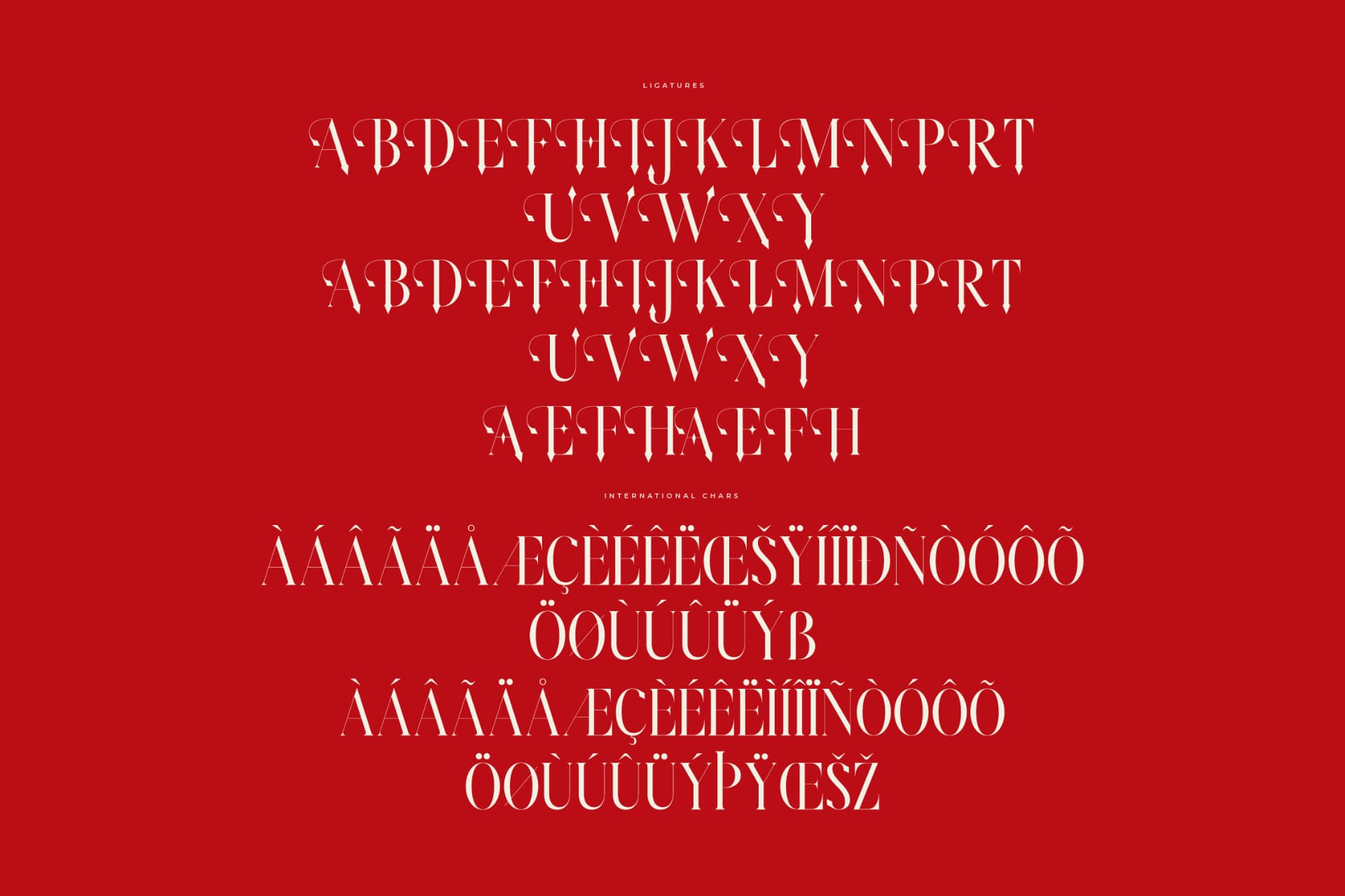 Preview 14 for Amodhev – Modern Serif Font