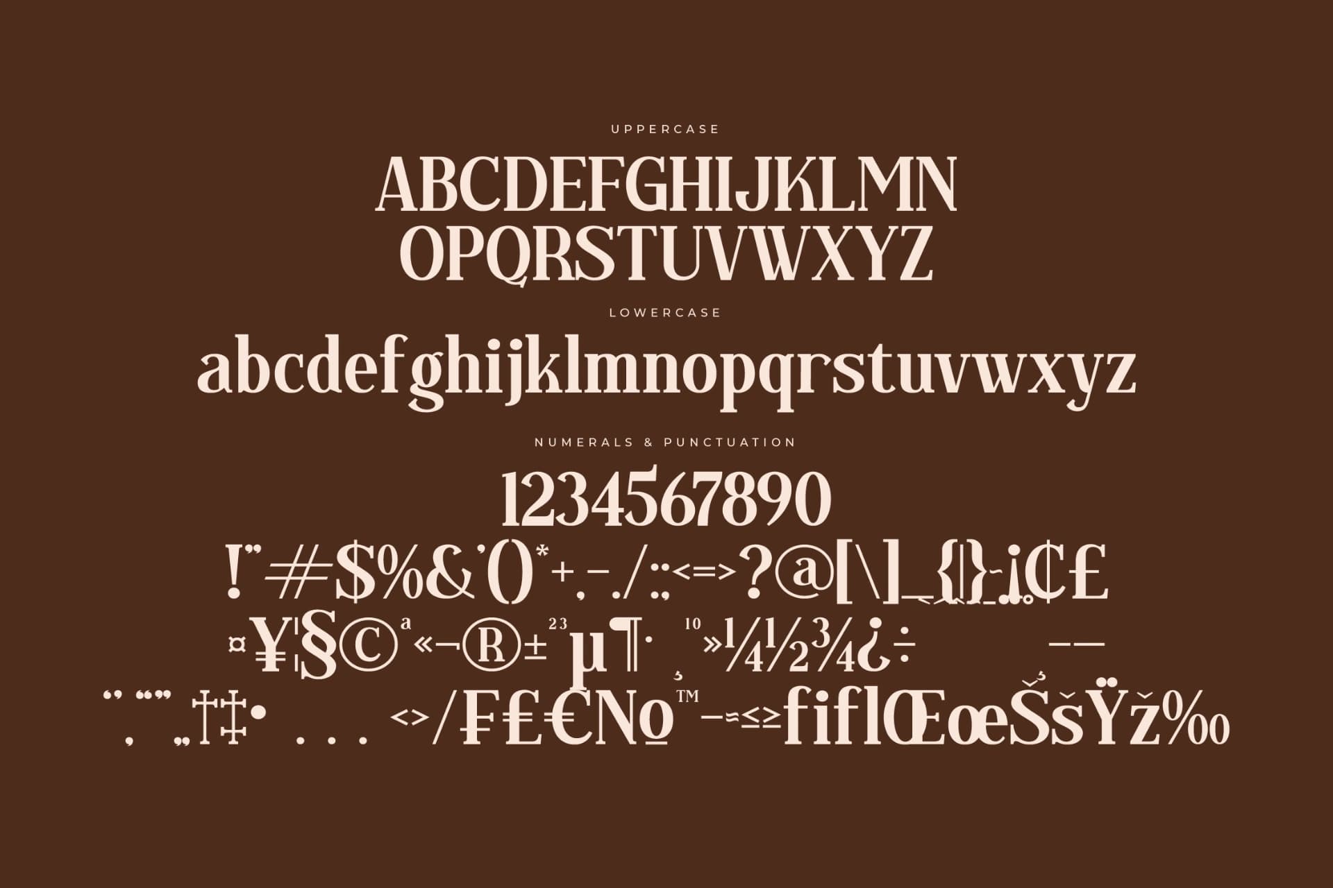 Preview 13 for Regflina – Modern Serif Font