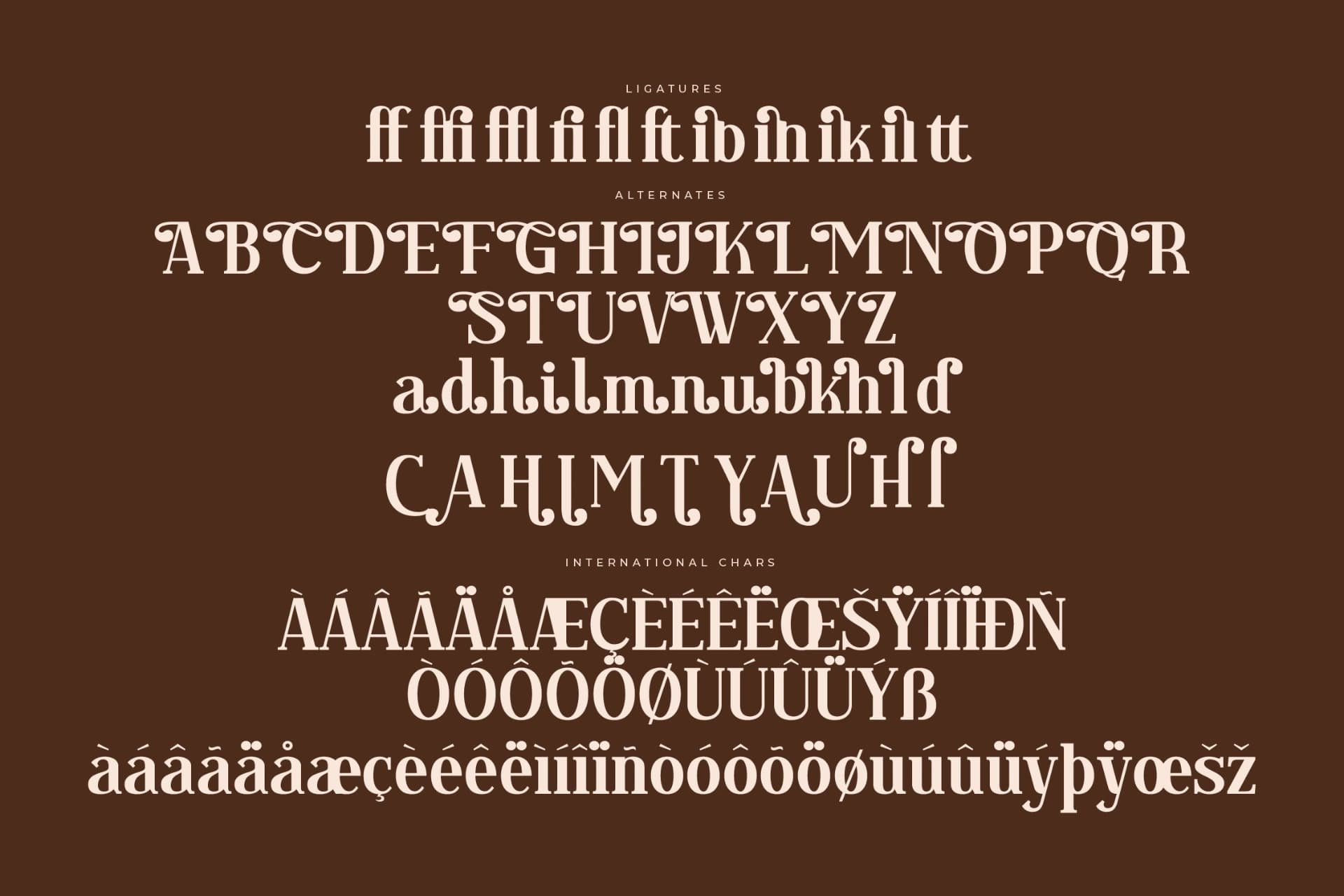 Preview 14 for Regflina – Modern Serif Font