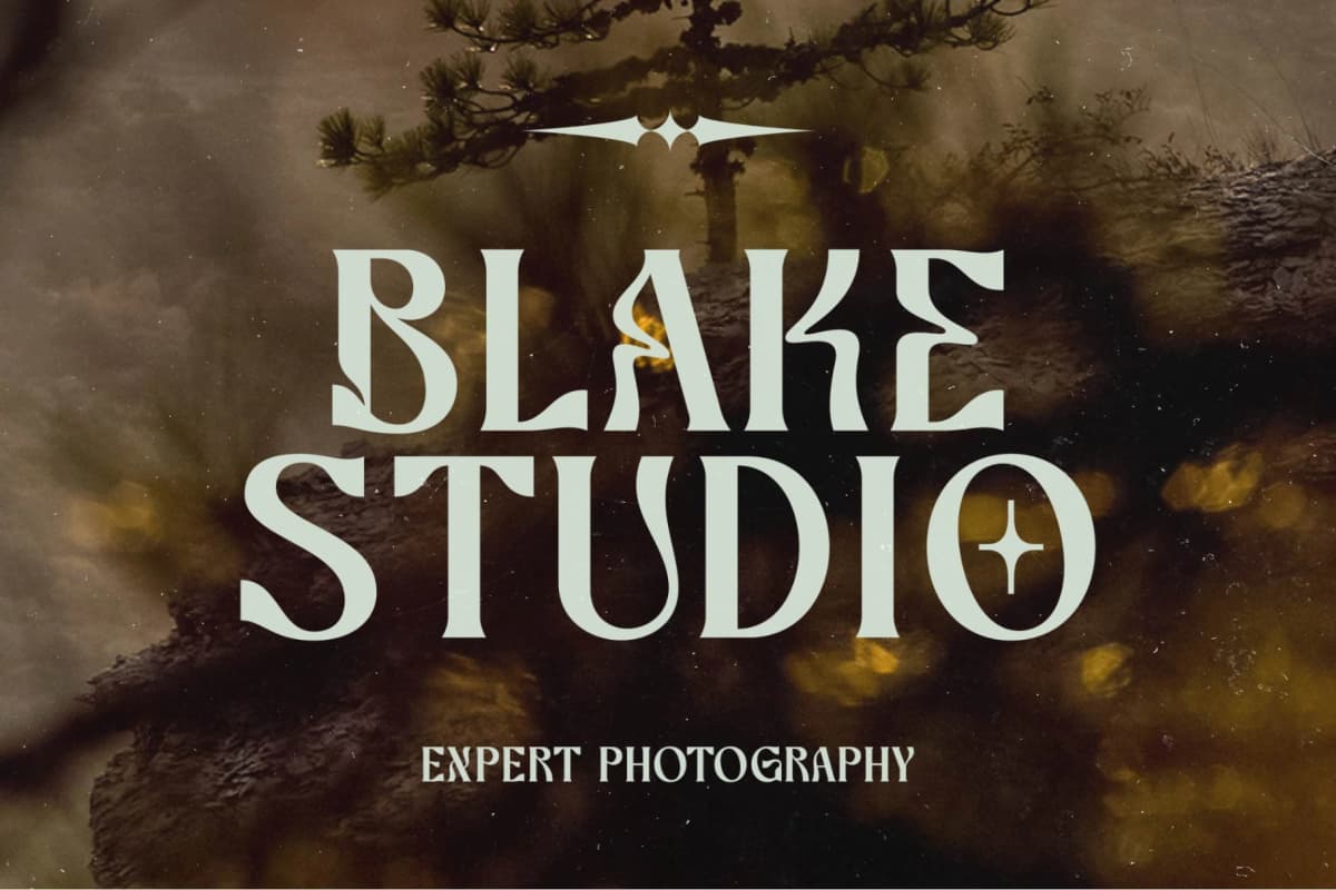 Bottarie - Freestyle Display Font font preview 5