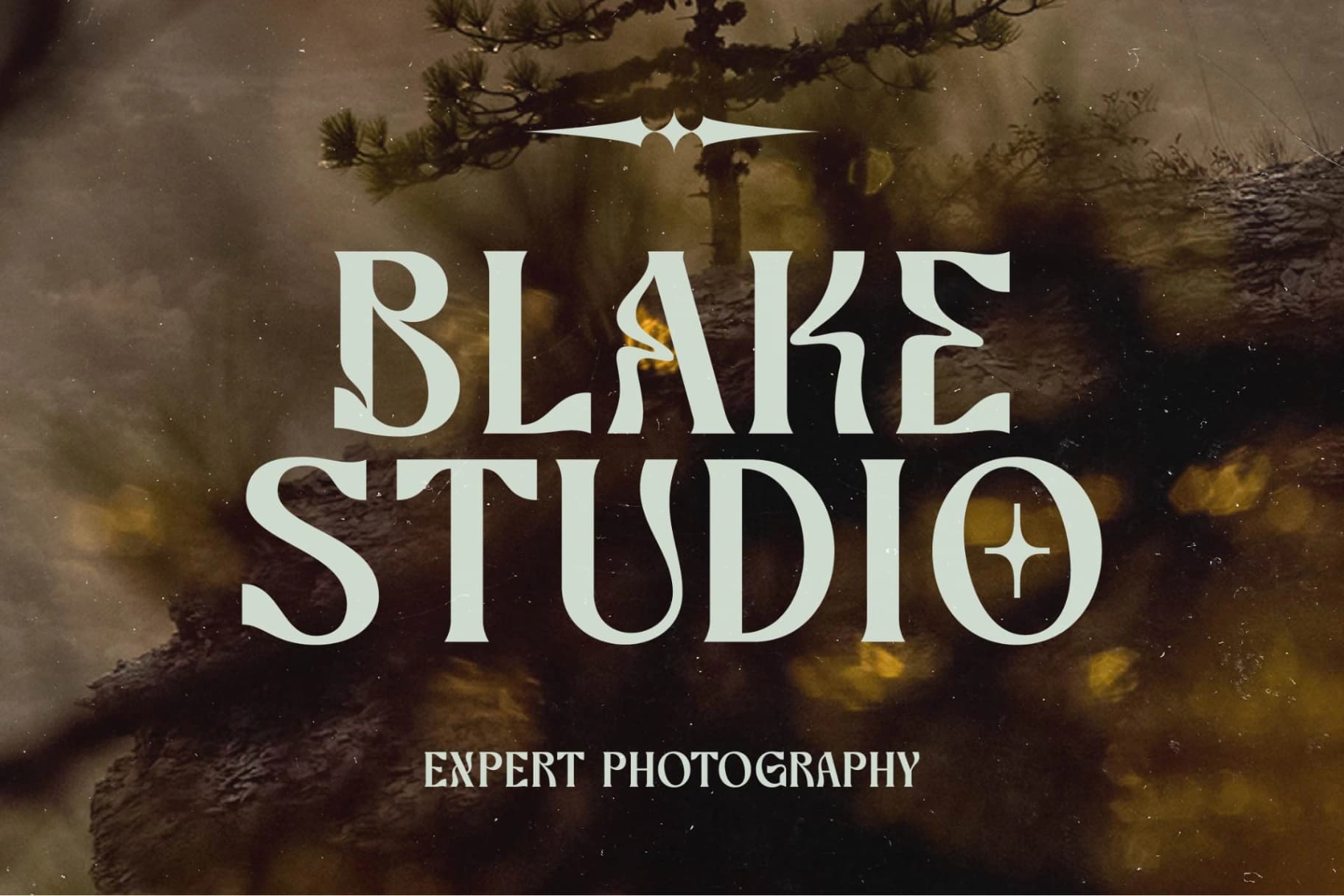 Preview 5 for Bottarie - Freestyle Display Font