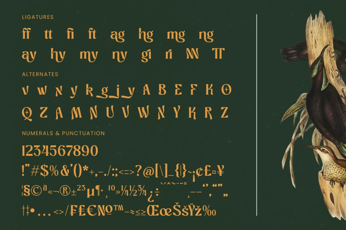 Bottarie - Freestyle Display Font font preview 19