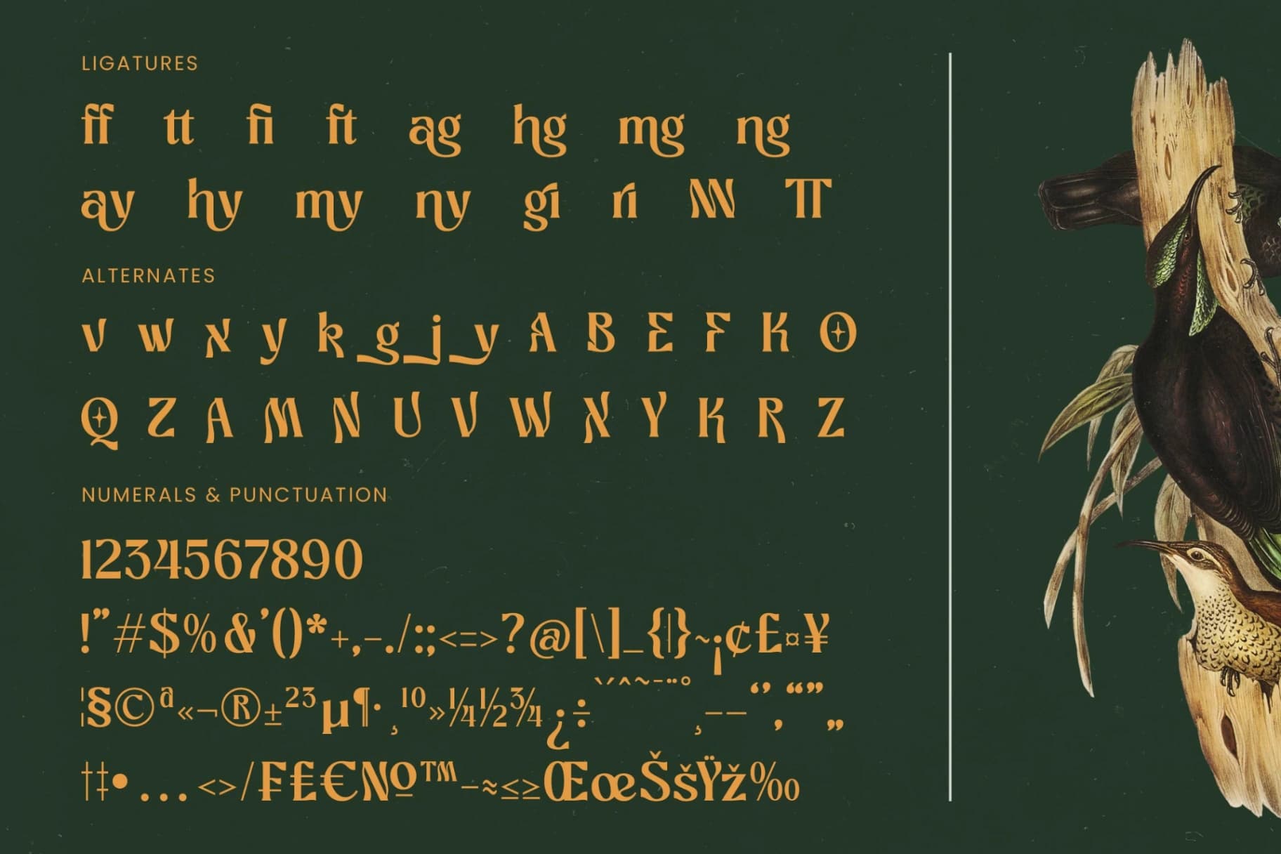 Preview 19 for Bottarie - Freestyle Display Font