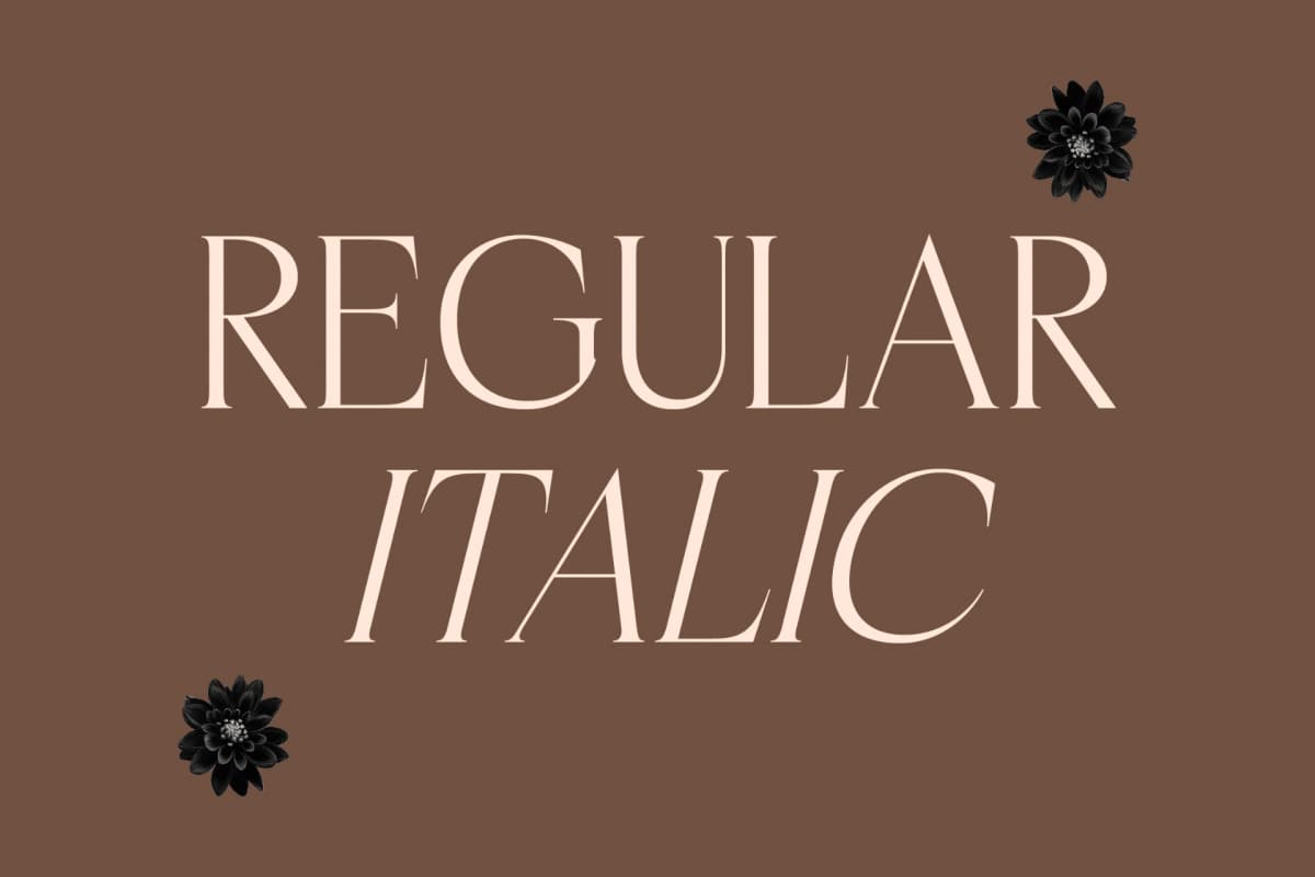 Casselin – Modern Serif Font font preview 6