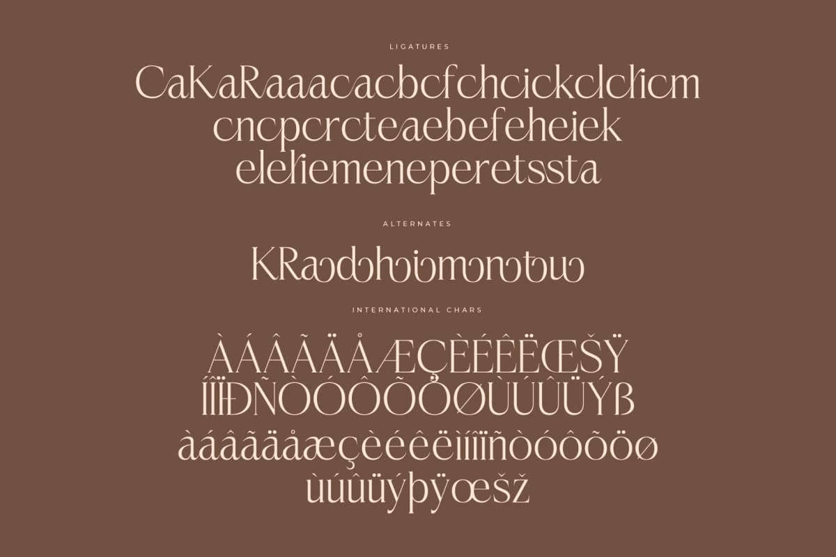 Casselin – Modern Serif Font font preview 14