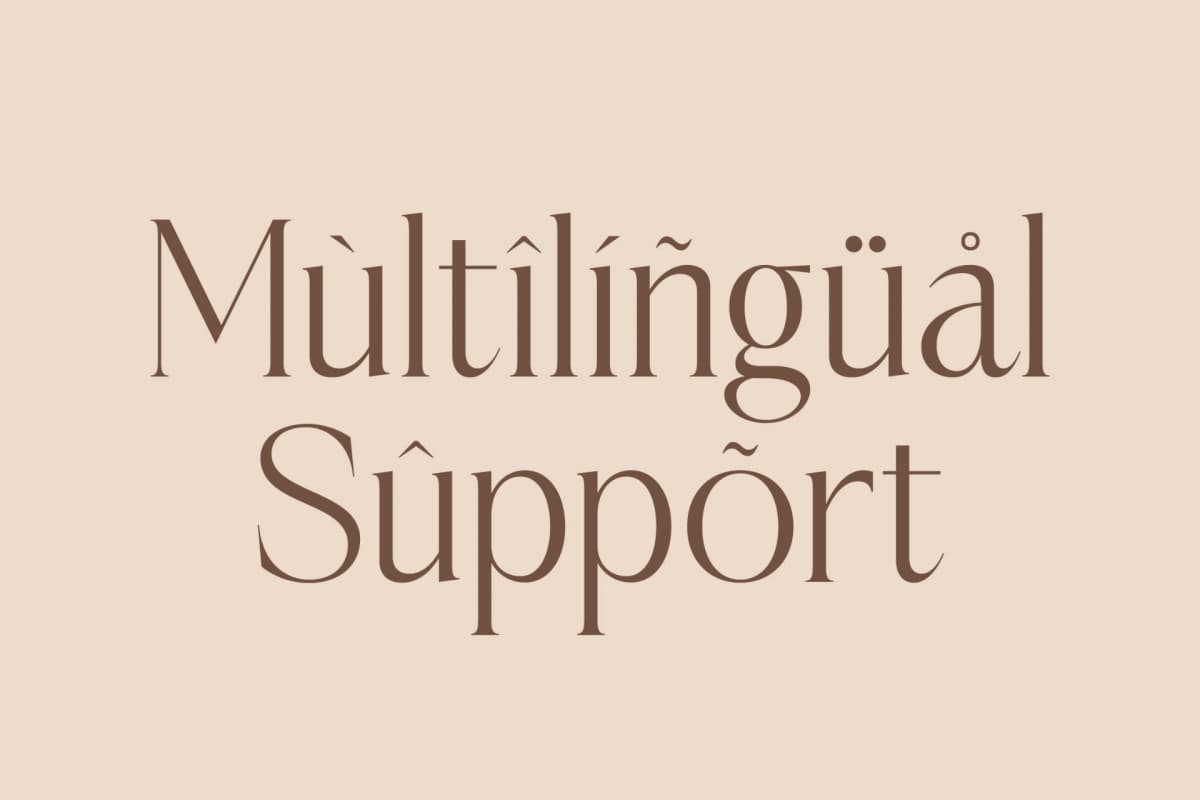 Casselin – Modern Serif Font font preview 12