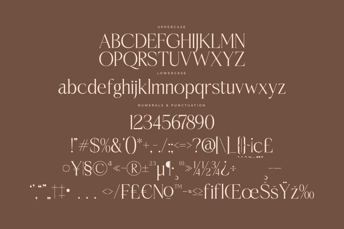 Casselin – Modern Serif Font font preview 13