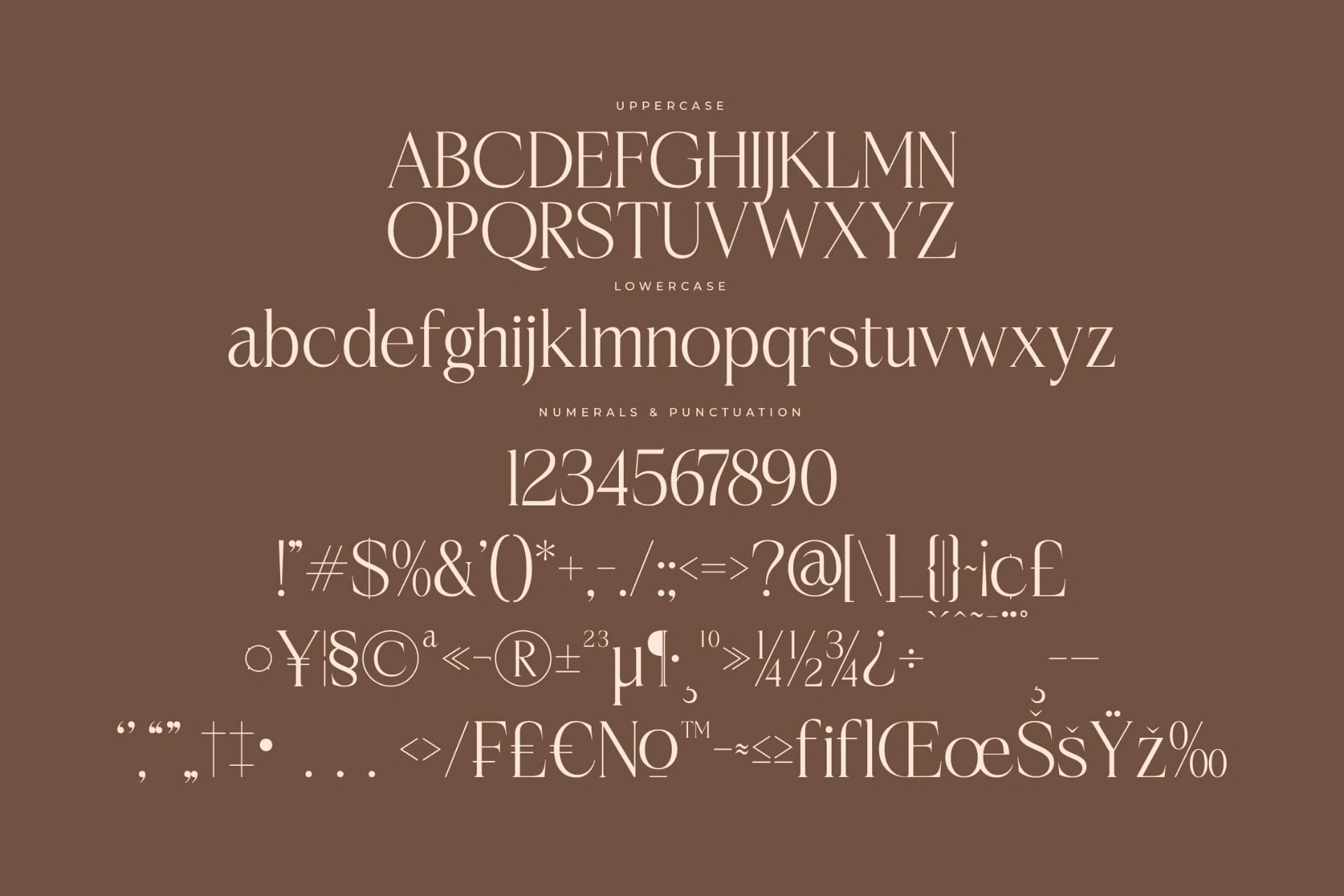 Preview 13 for Casselin – Modern Serif Font