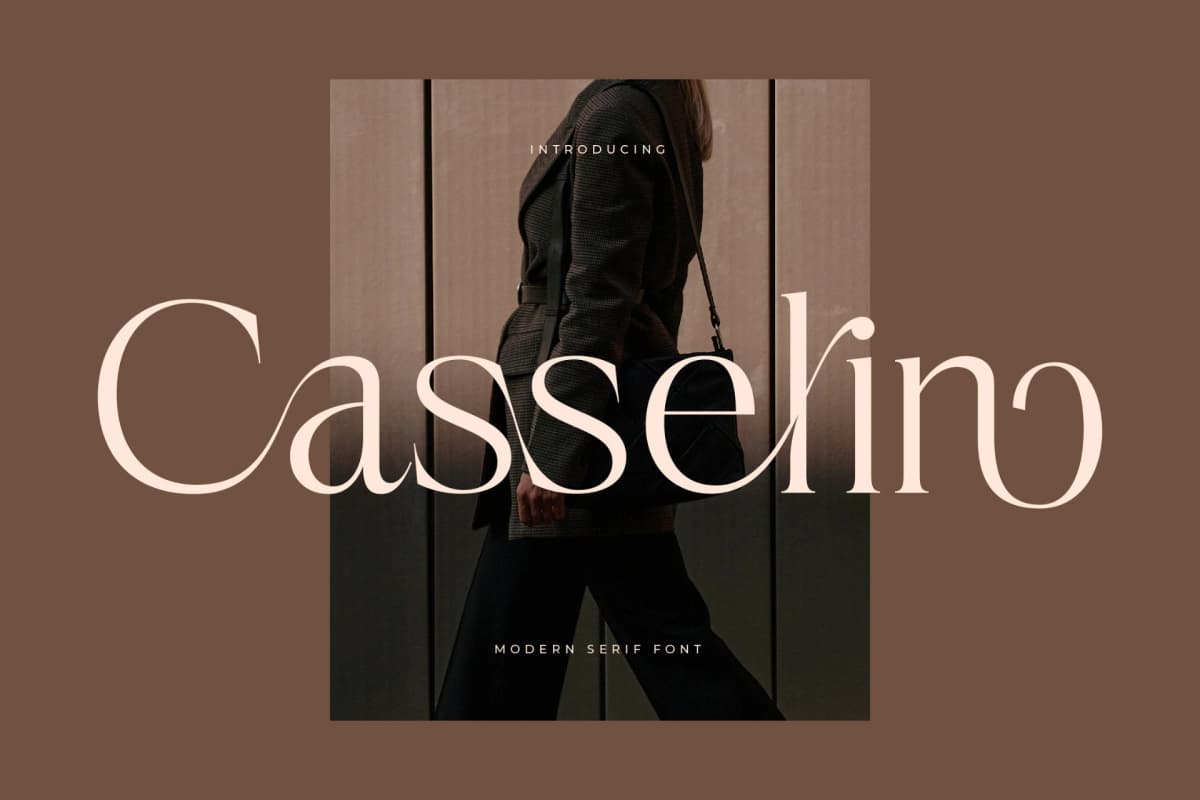 Preview of Casselin – Modern Serif Font font