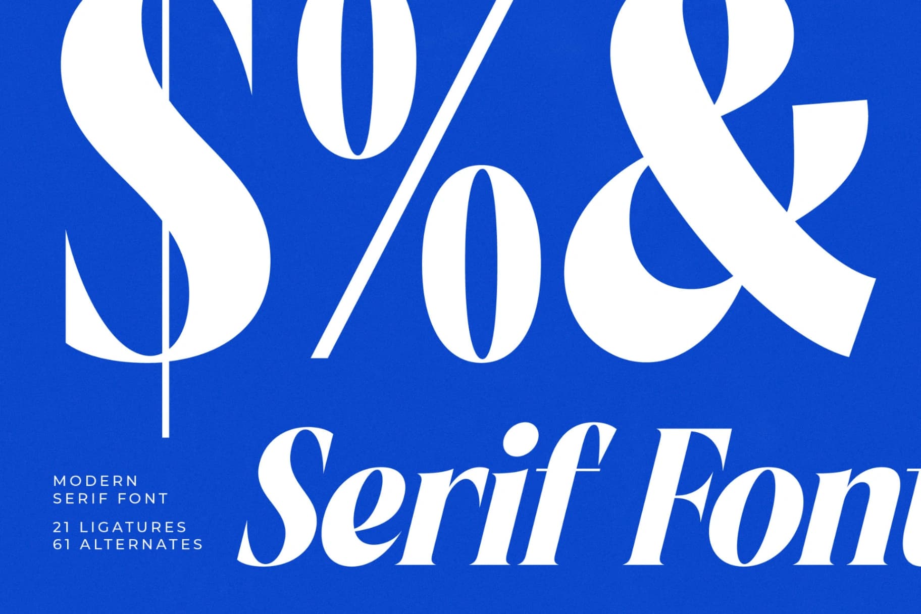 Preview 11 for Beachy Lemon - Modern Serif Font