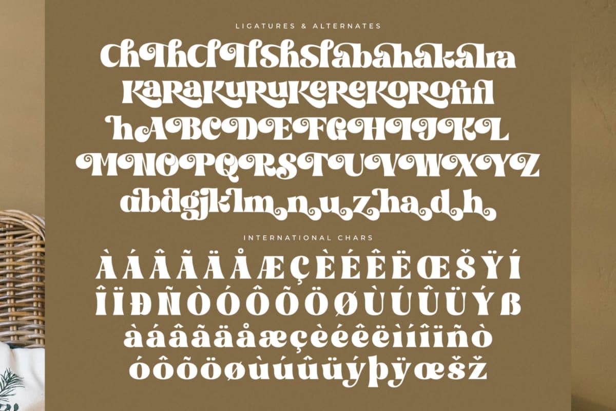 Preview 14 for Bogien Seralu – Modern Retro Serif