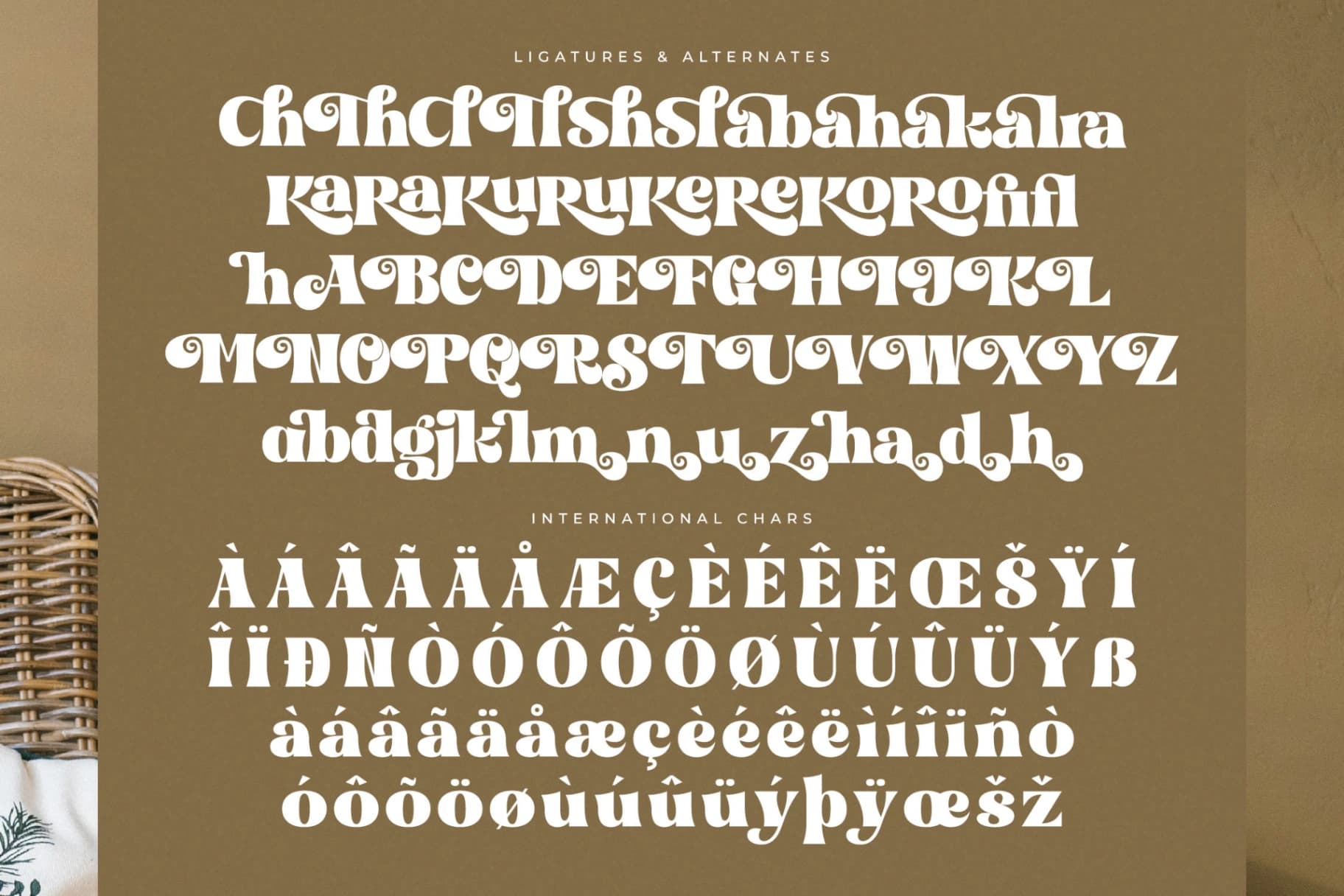 Preview 14 for Bogien Seralu – Modern Retro Serif