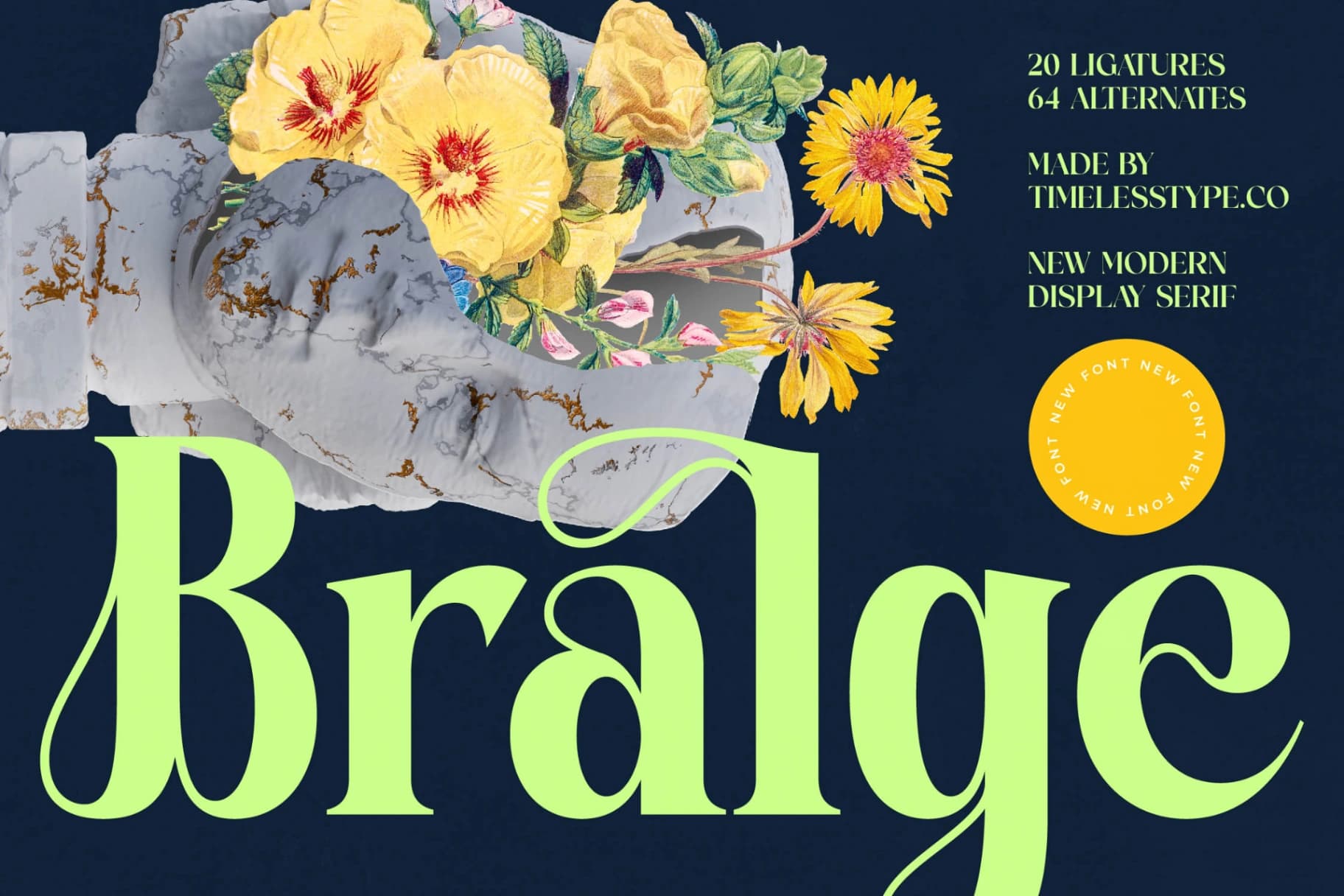 Preview of Bralge - Modern Display Serif Font font