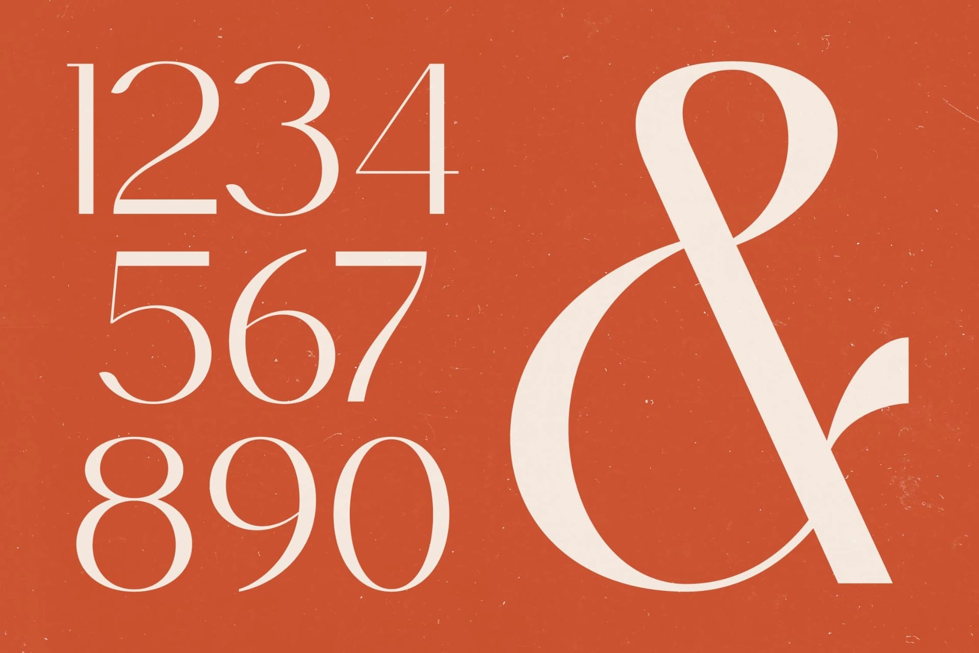 Preview 7 for Sagira Blush - Elegant Thin Sans Serif Font