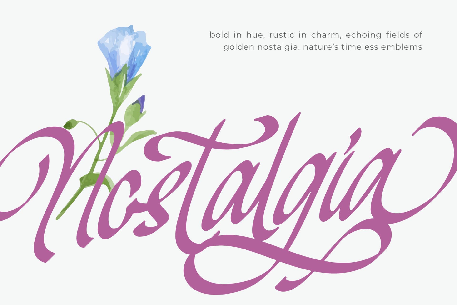 Preview 11 for Mendyora – Bold Calligraphy Font