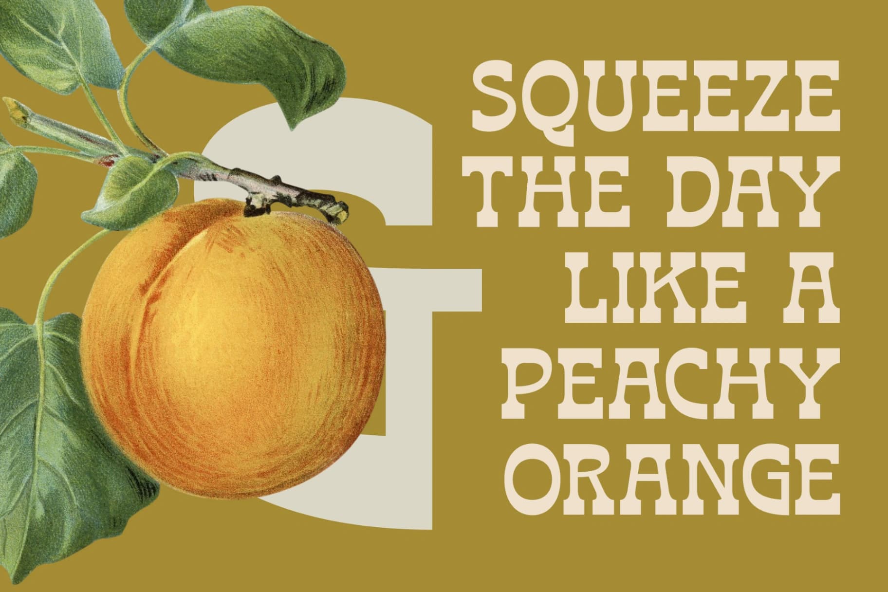 Preview 15 for Bring Horse - Slab Serif Font